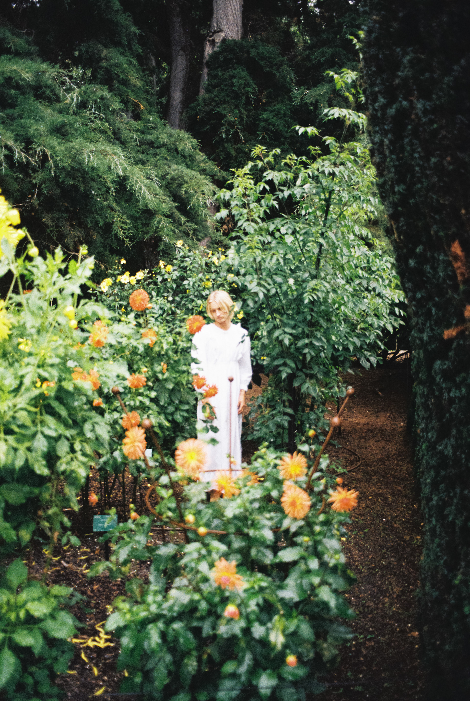 Personal shoot - Botanic gardens - 2023
