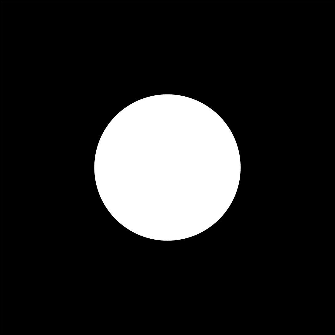 fovea