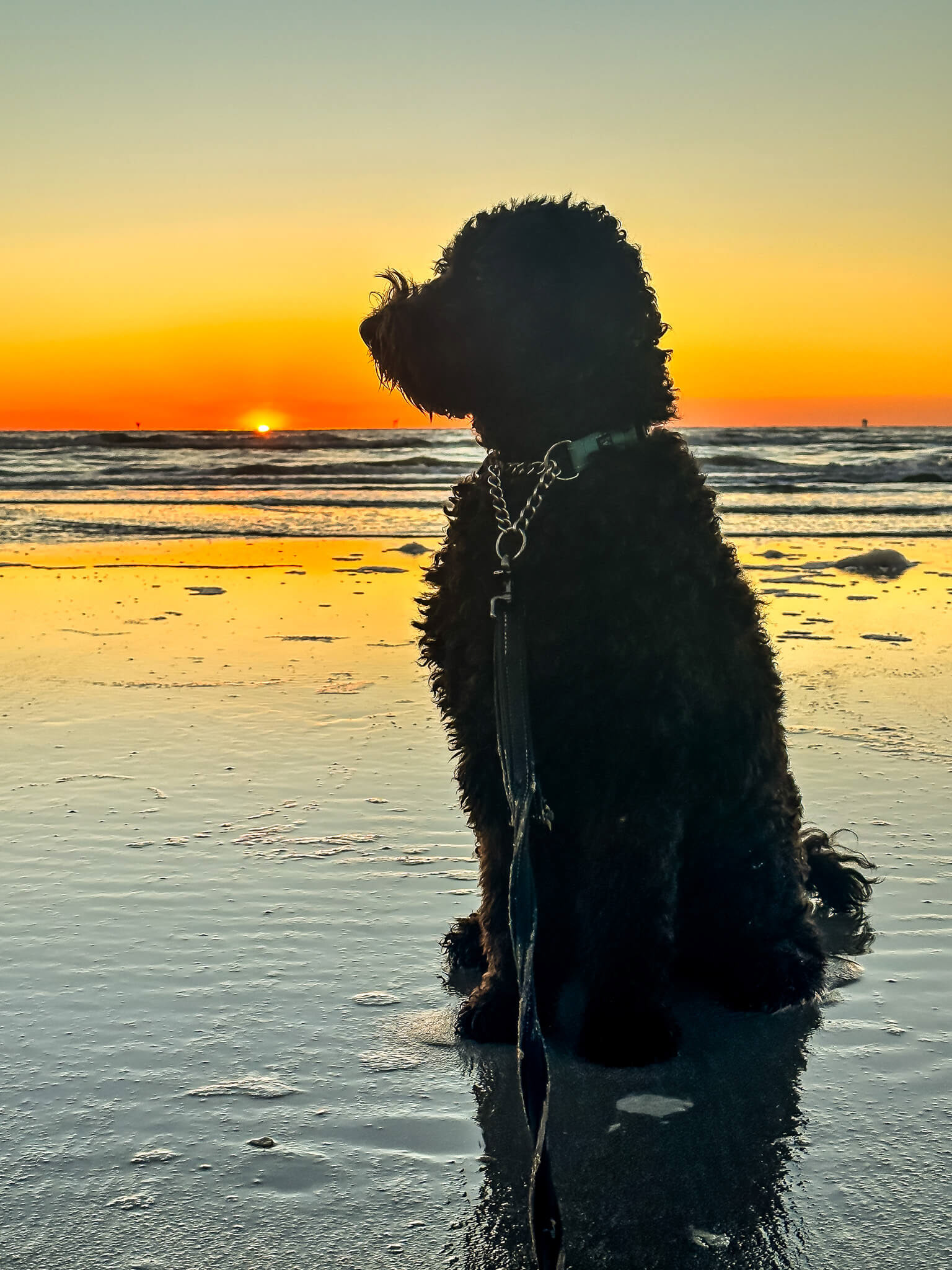 Sunrise at the beach.