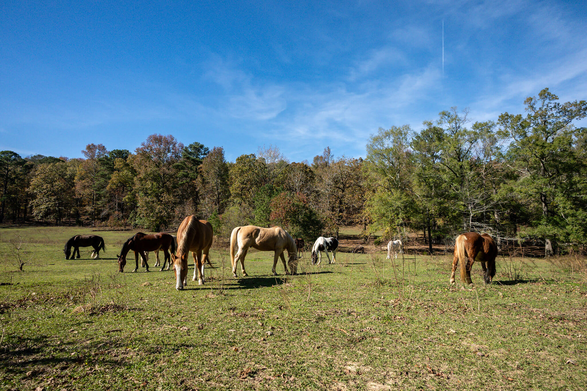 some of our neighbours.