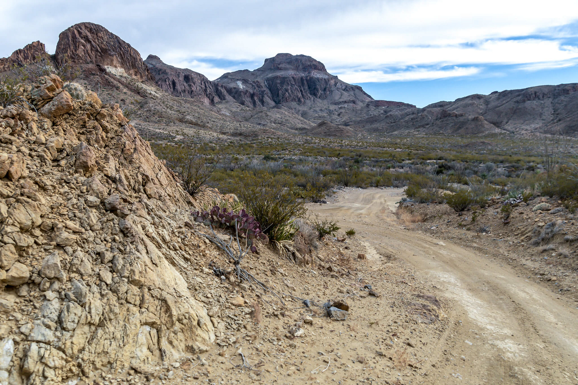 The roads in Terlingua Ranch where we did the tour.