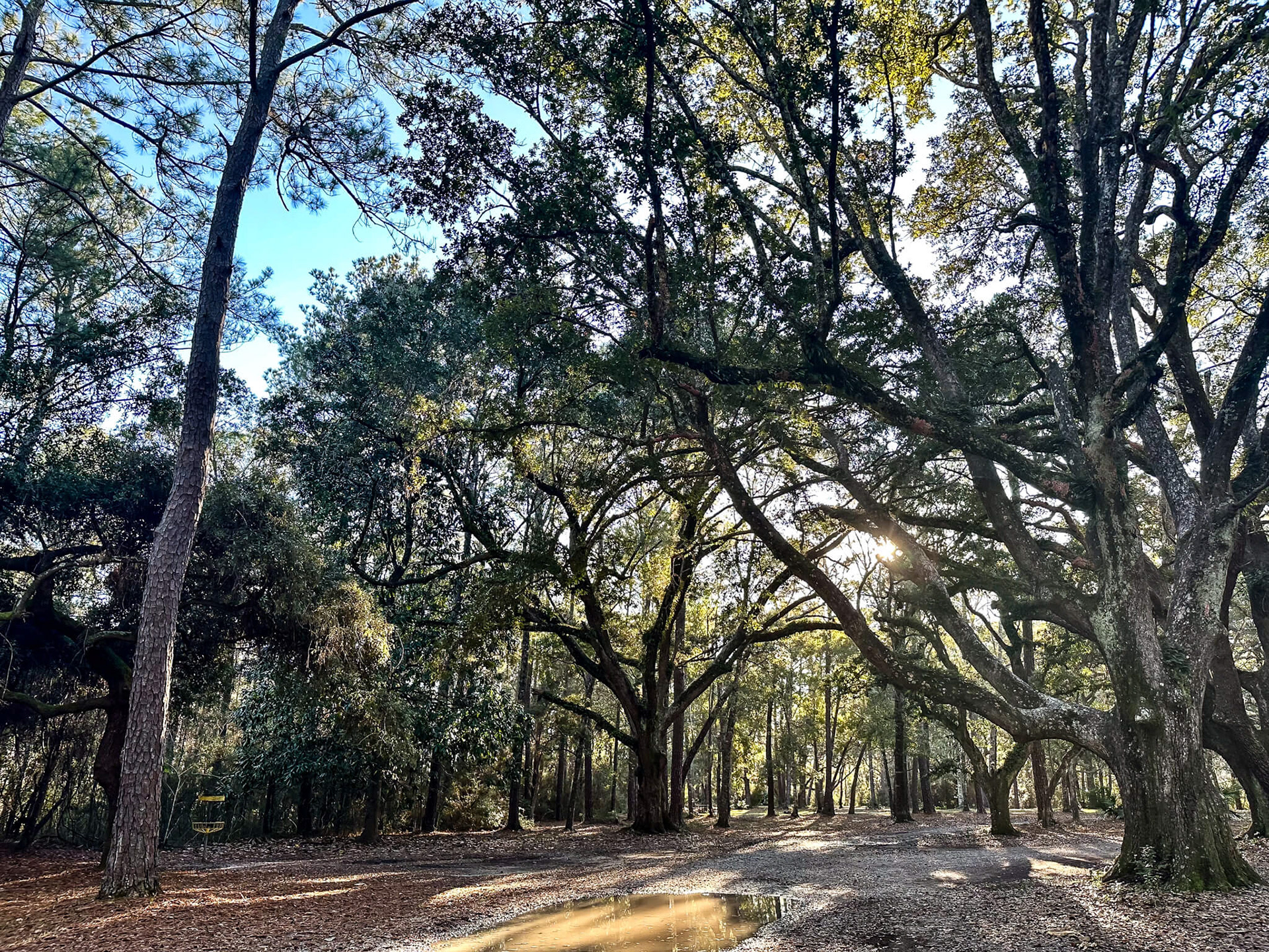 View of the park.