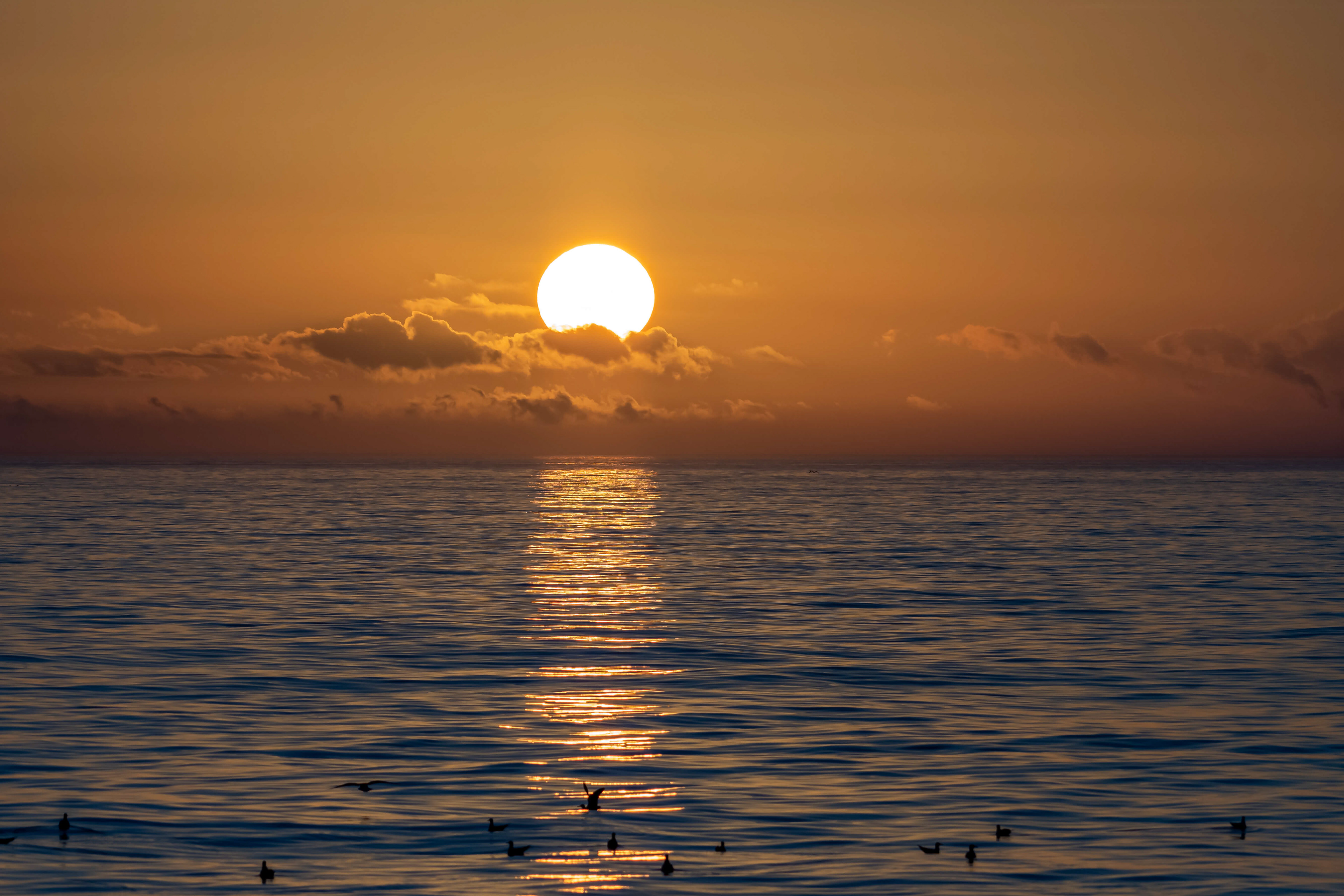 Sunset.