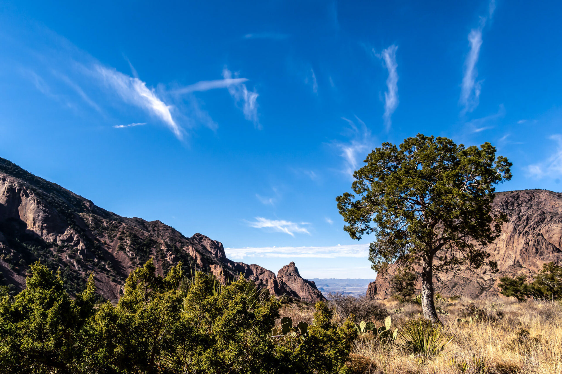 Windows View Trail