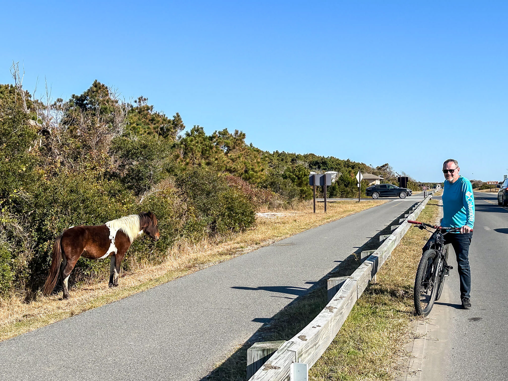 There is a walking/cycling path but the horses have the right of way.
