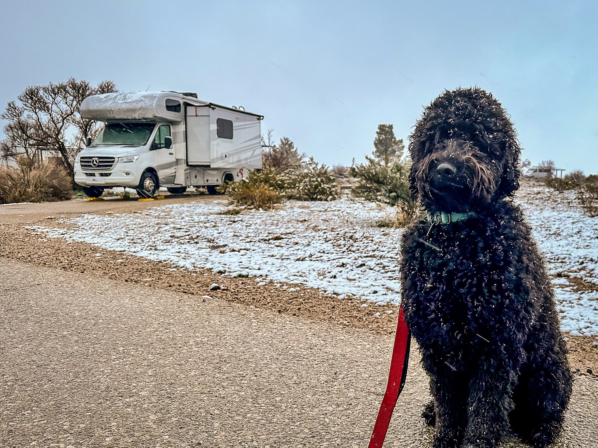 Ella saw her first snowfall.
