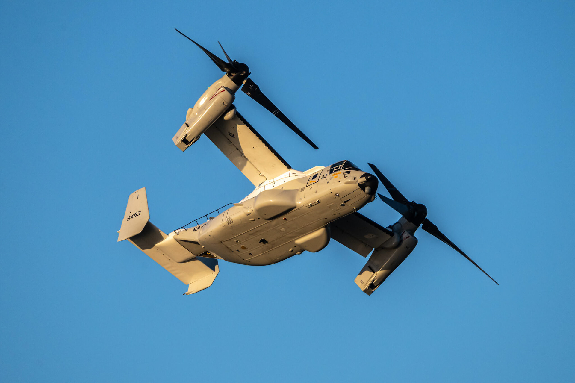 A different kind of Osprey.