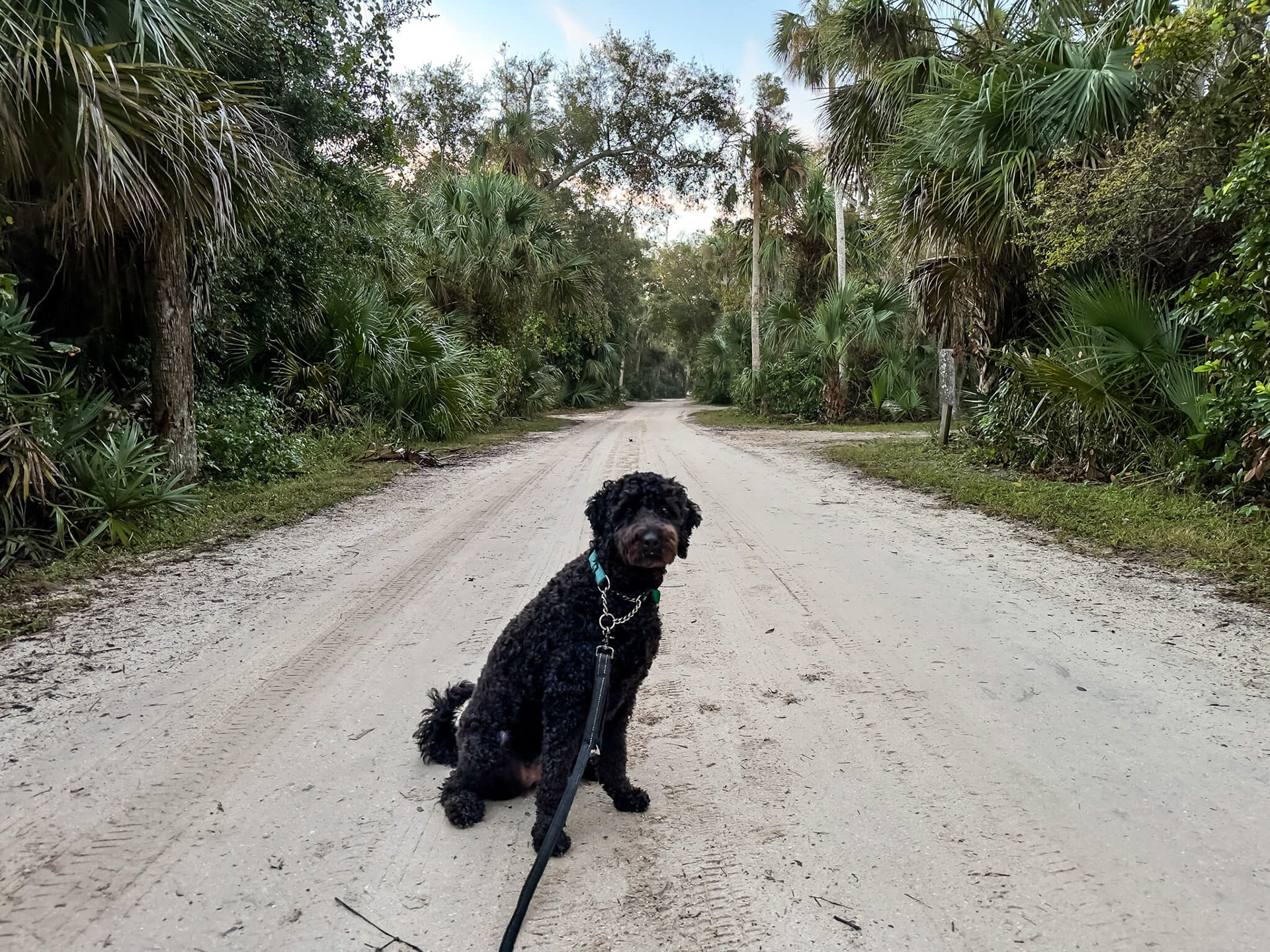 Campsite Road.