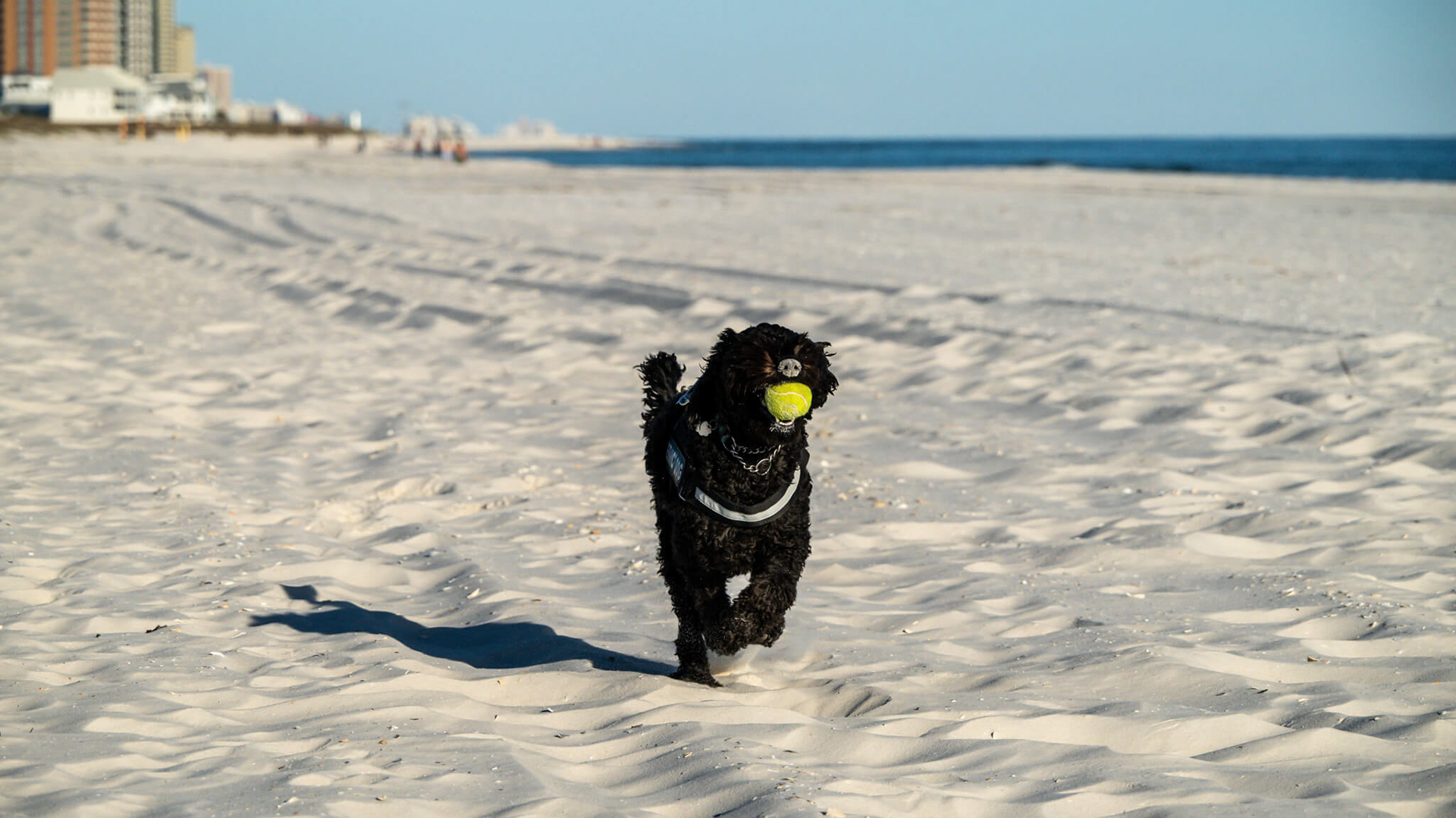 Ella enjoying the white sand beaches.