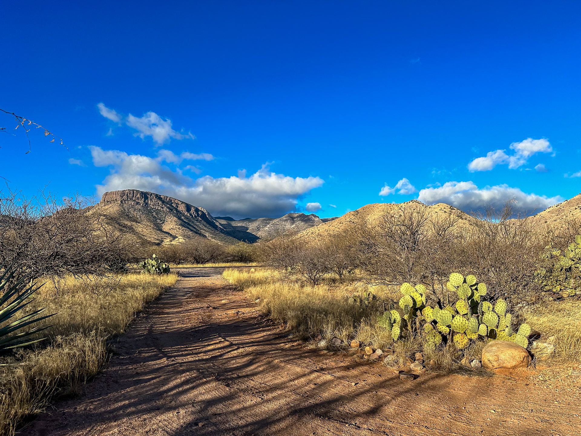 The Whetstone Mountains.