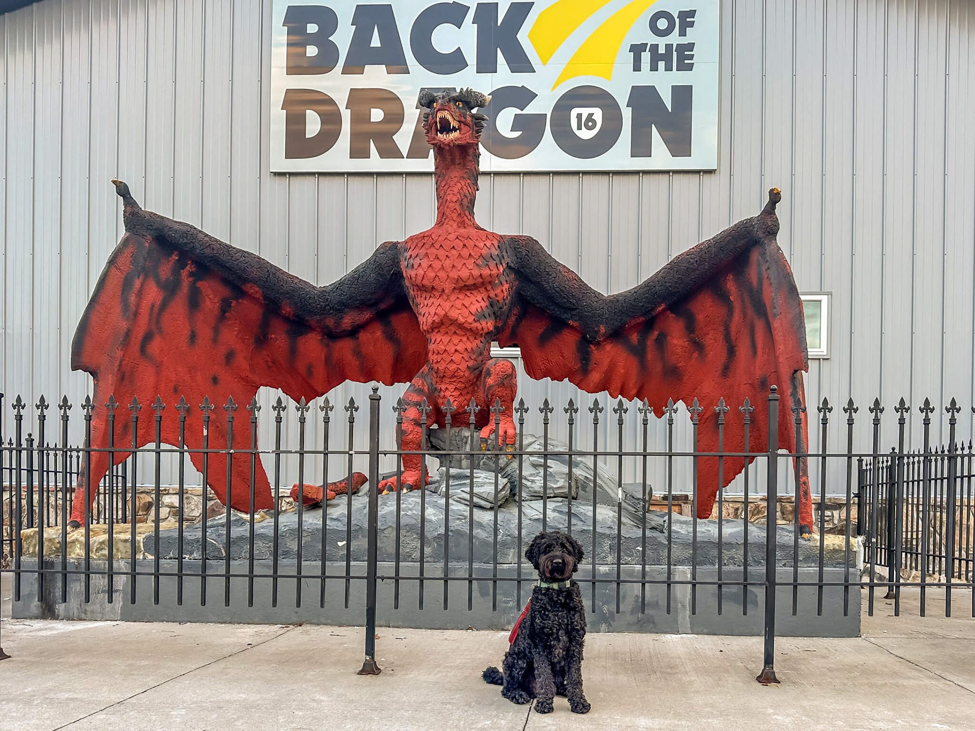 Back of the Dragon Brewery in Tazewell.