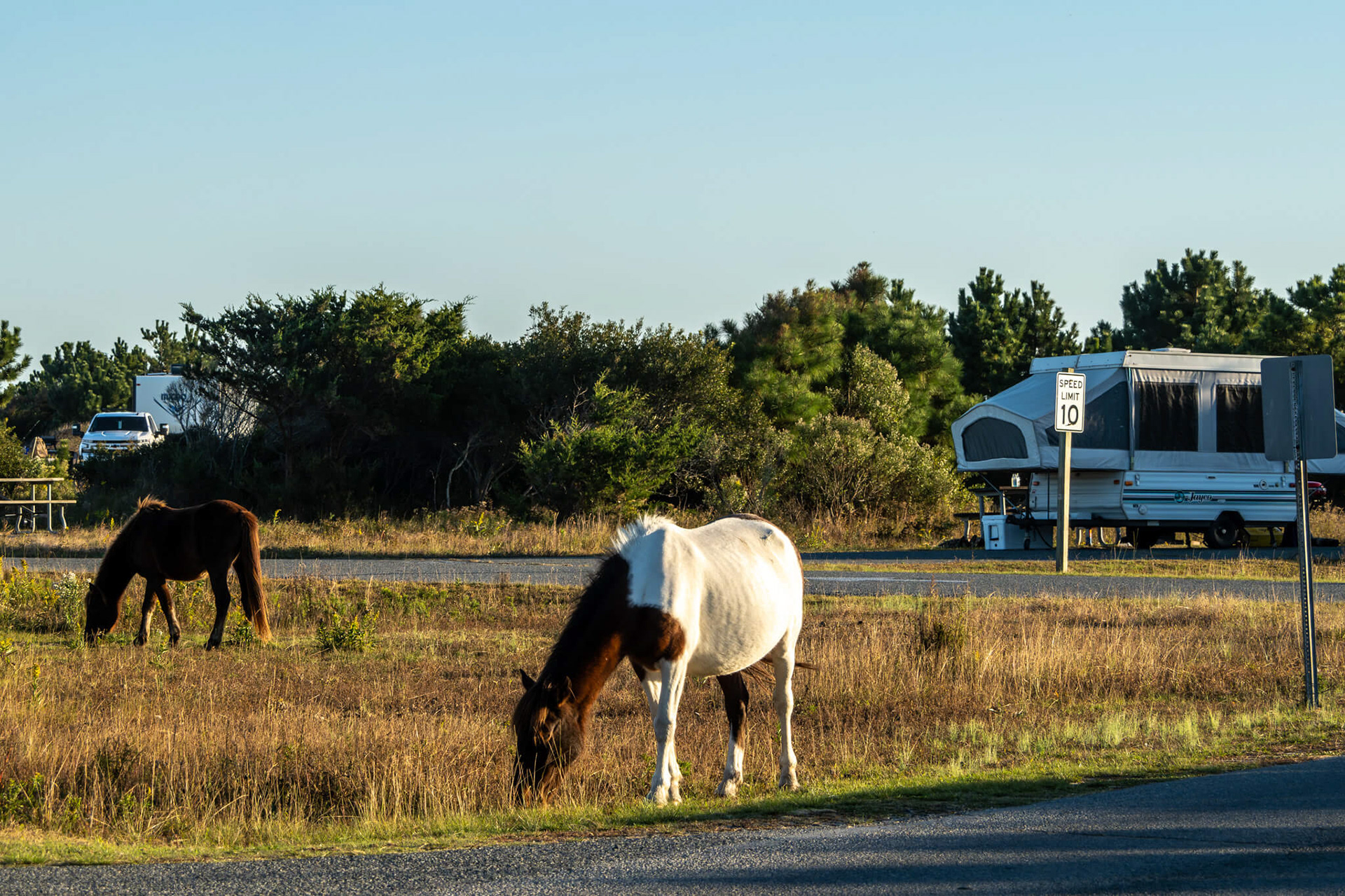 In the campgrounds.