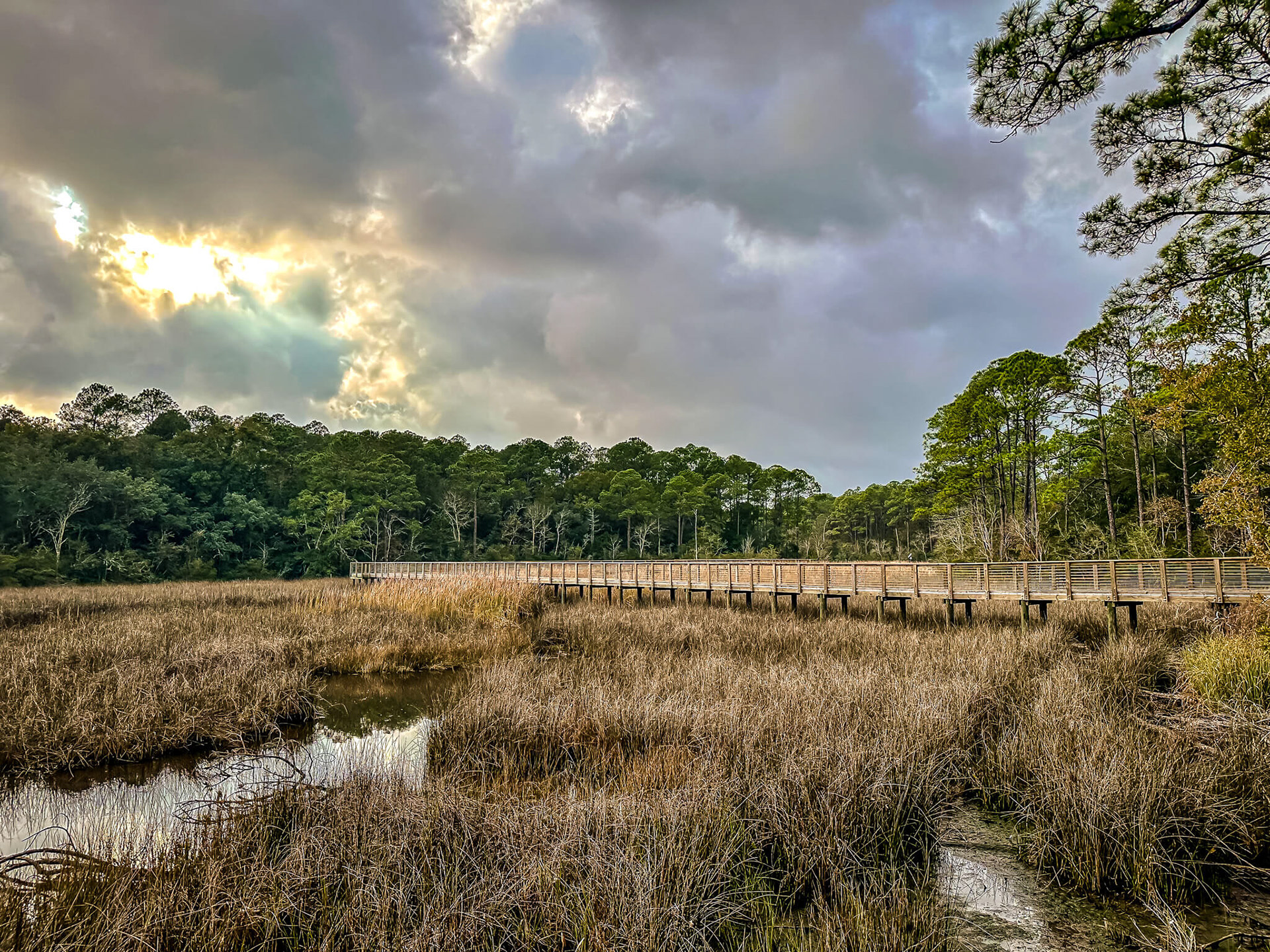 Boardwalk over the marsh.