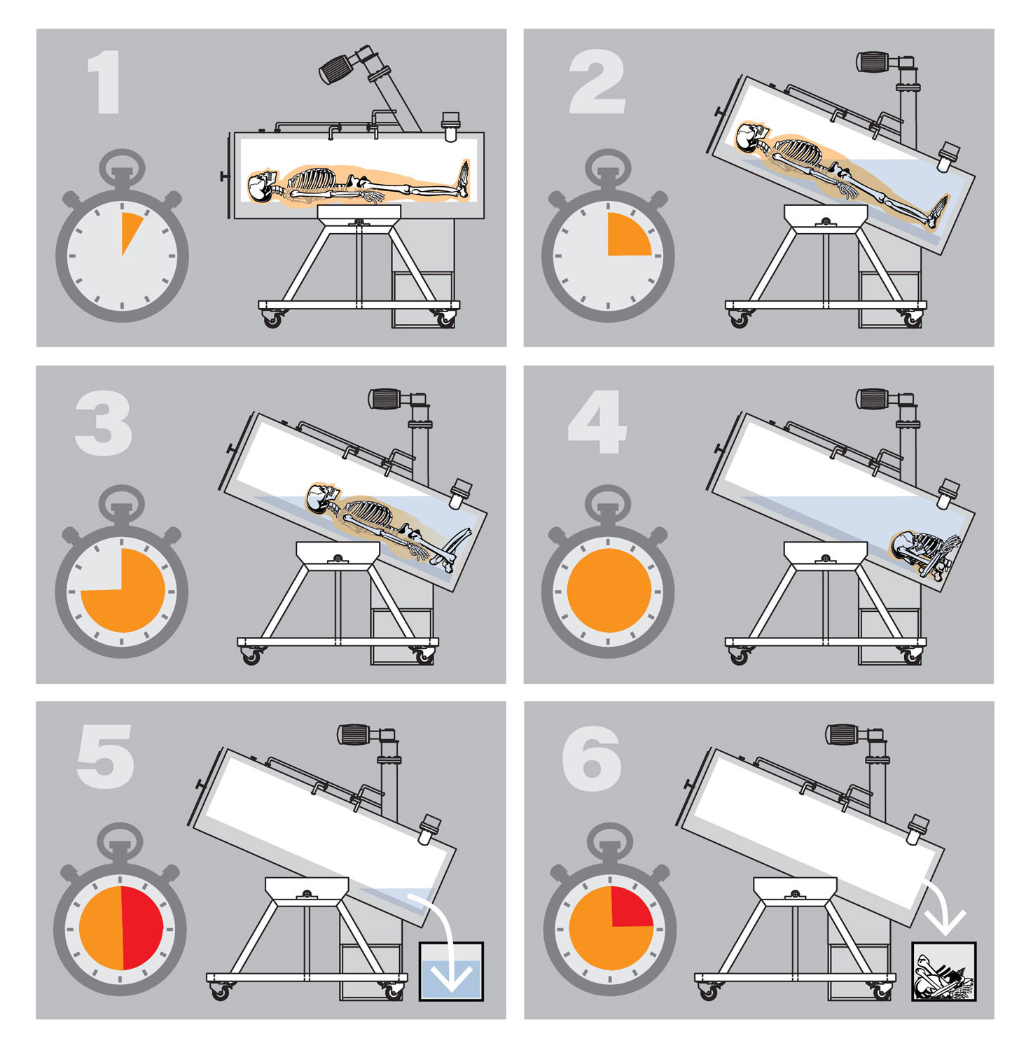 Alkaline Hydrolisis Infographic
