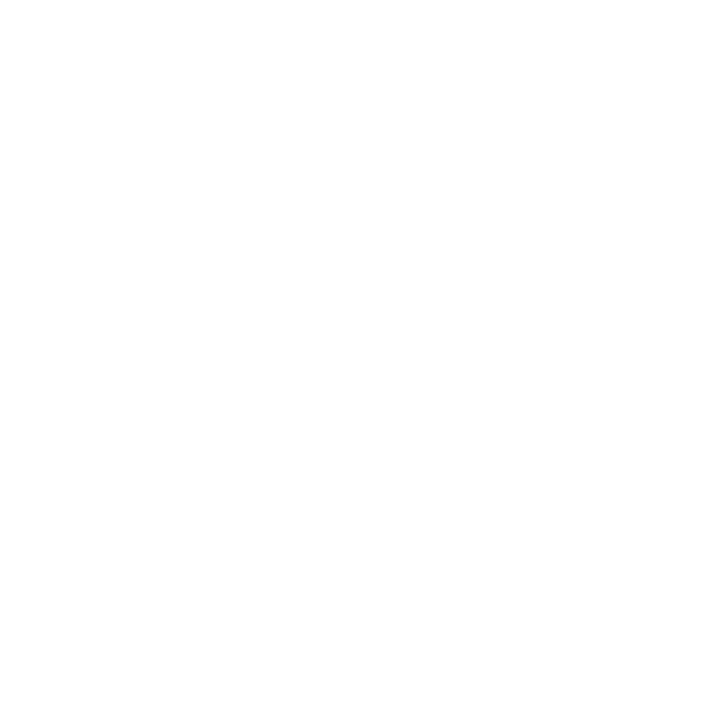 Marcelo Vianna
