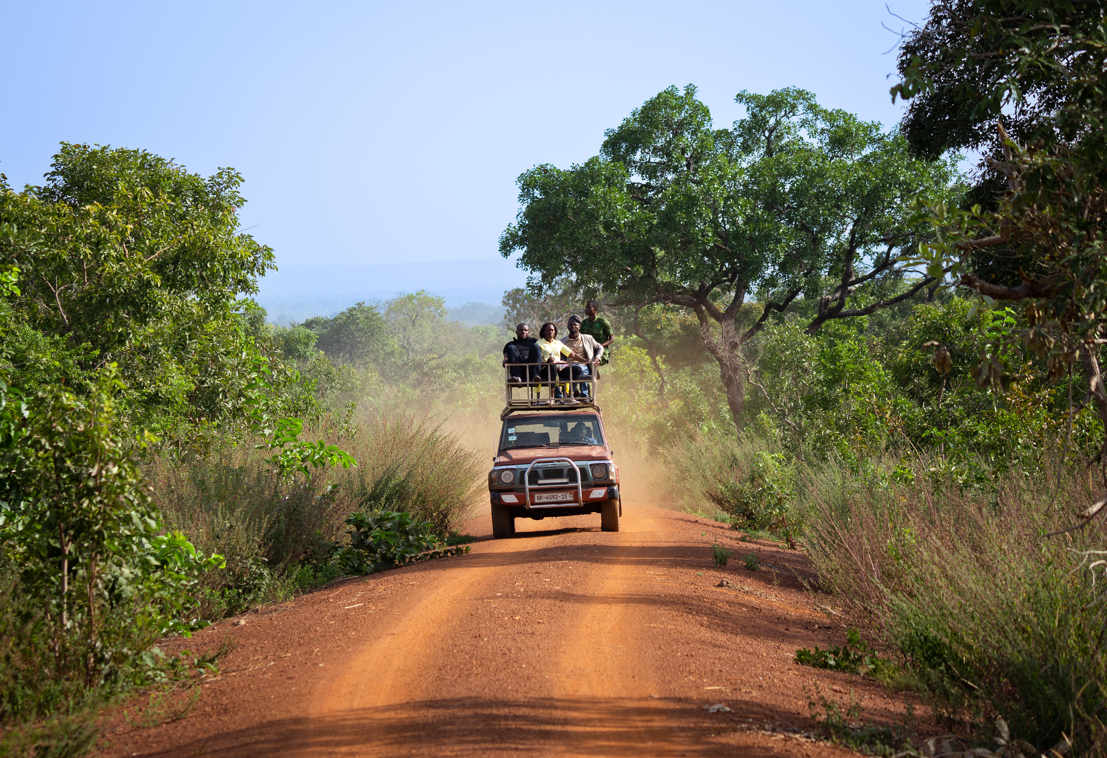 Mole National Park