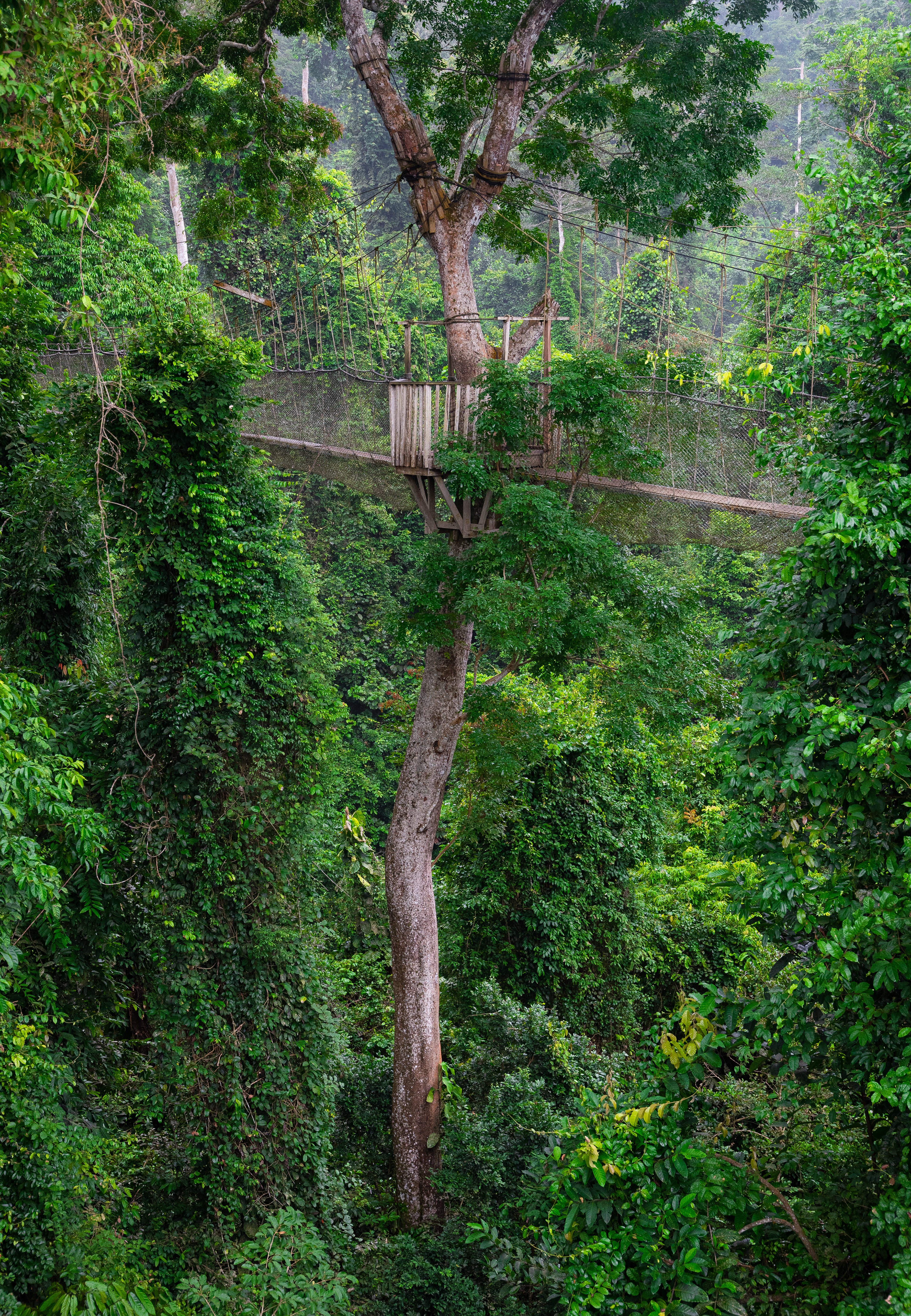 Kakum National Park