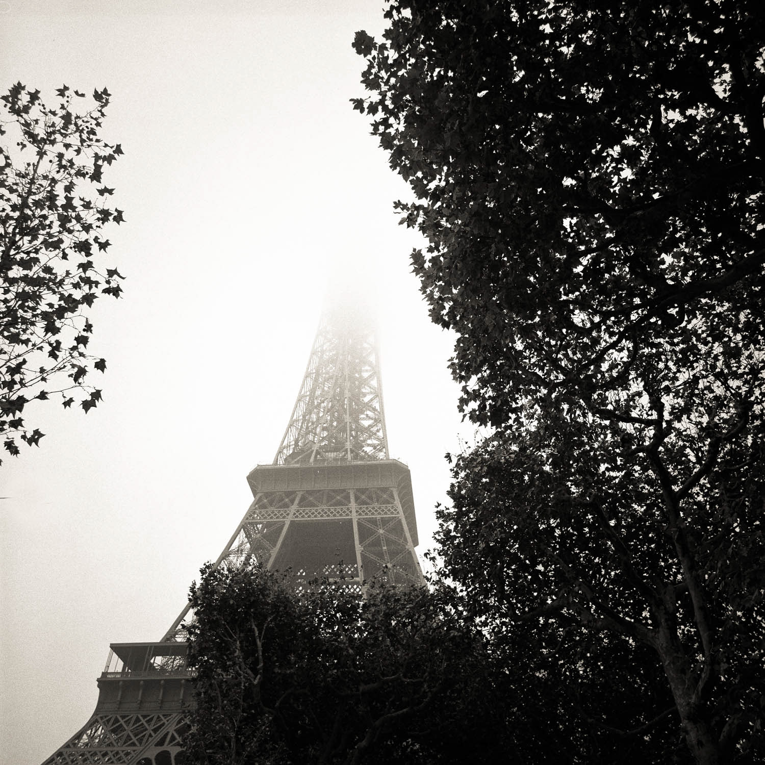 Eiffel Tower 2