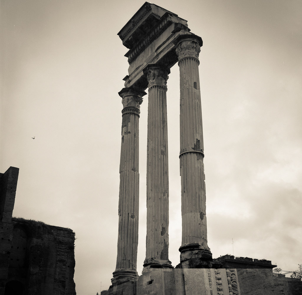 Roman Forum III, Italy, 2013