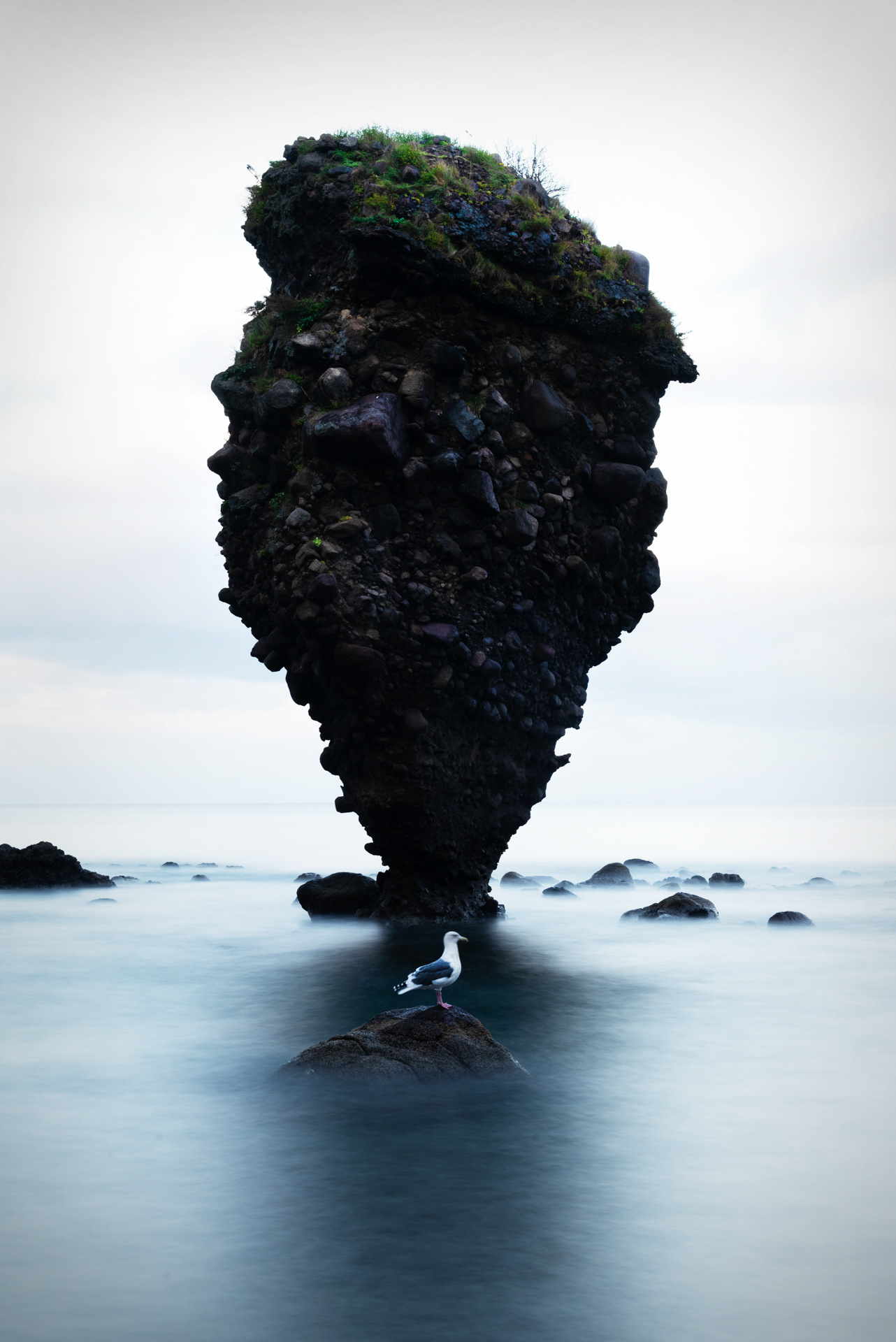 Gull and Ebisu, Rock