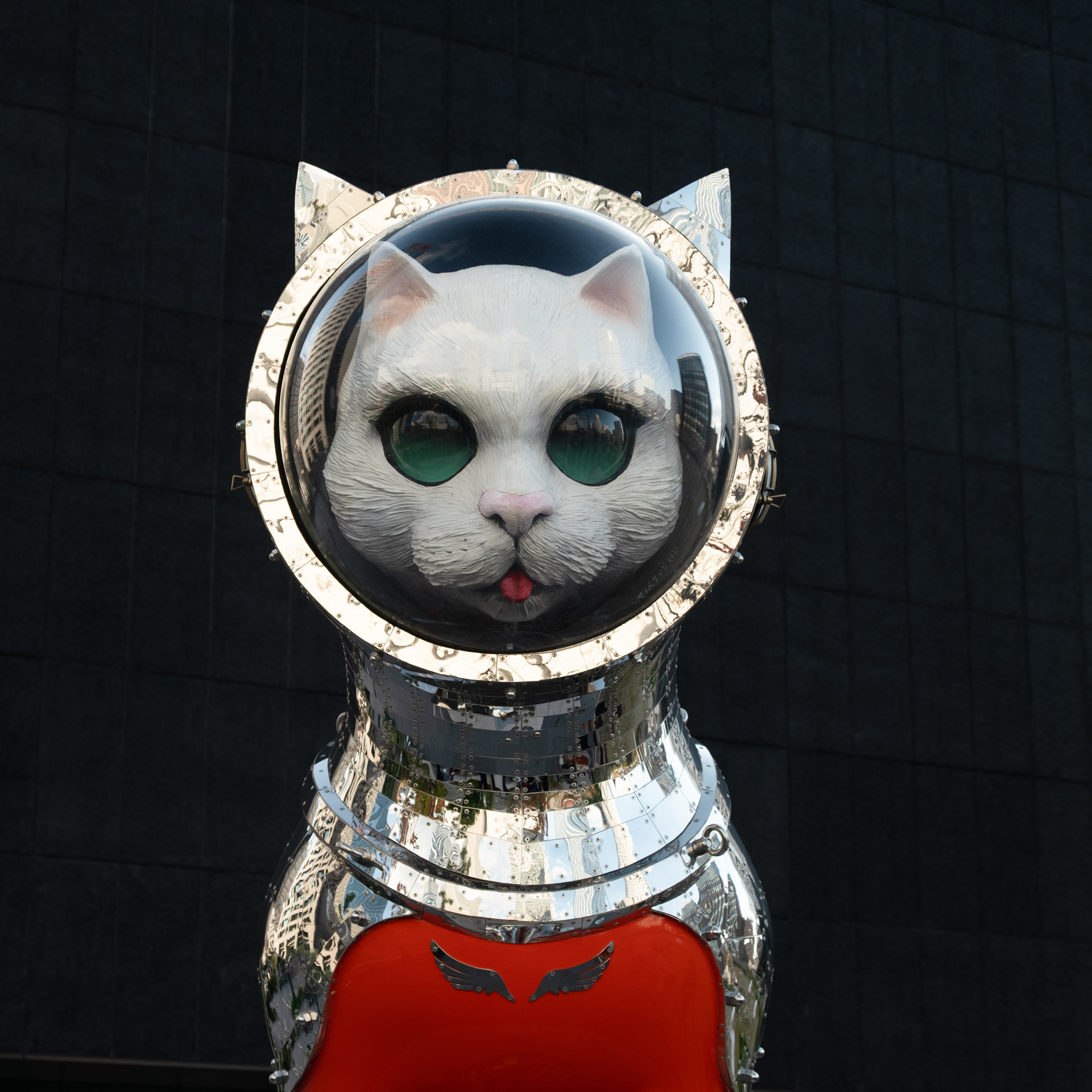 Ship's Cat, Osaka