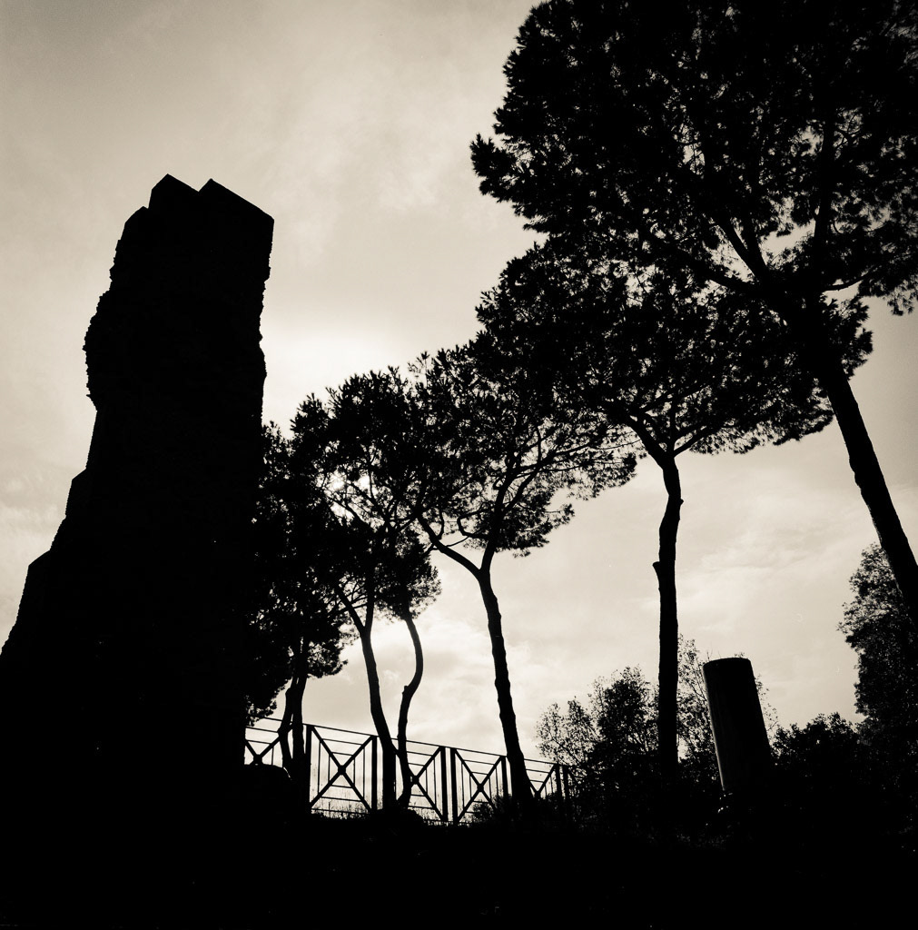 Roman Forum IV, Italy, 2013, Italy, 2013