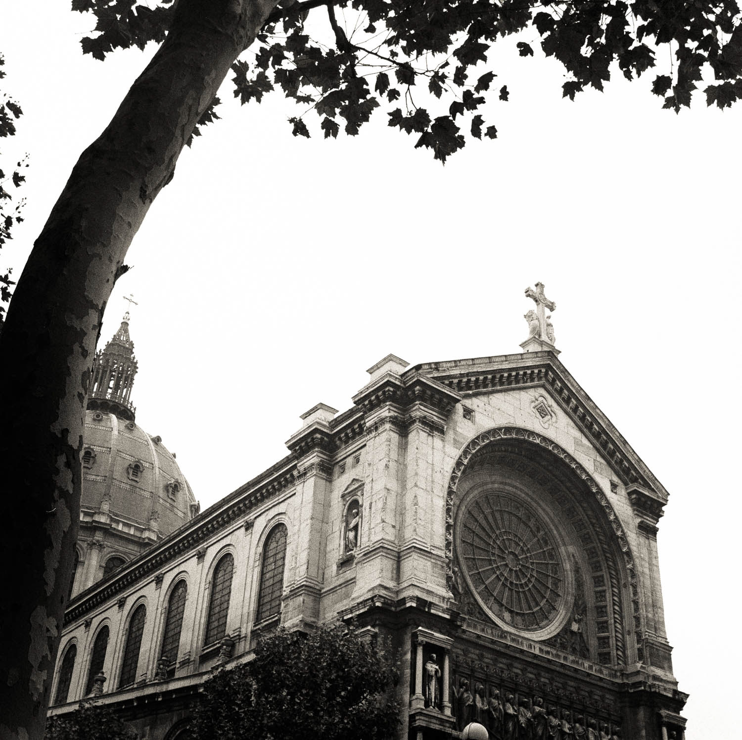 Notre Dame (Pre-fire)