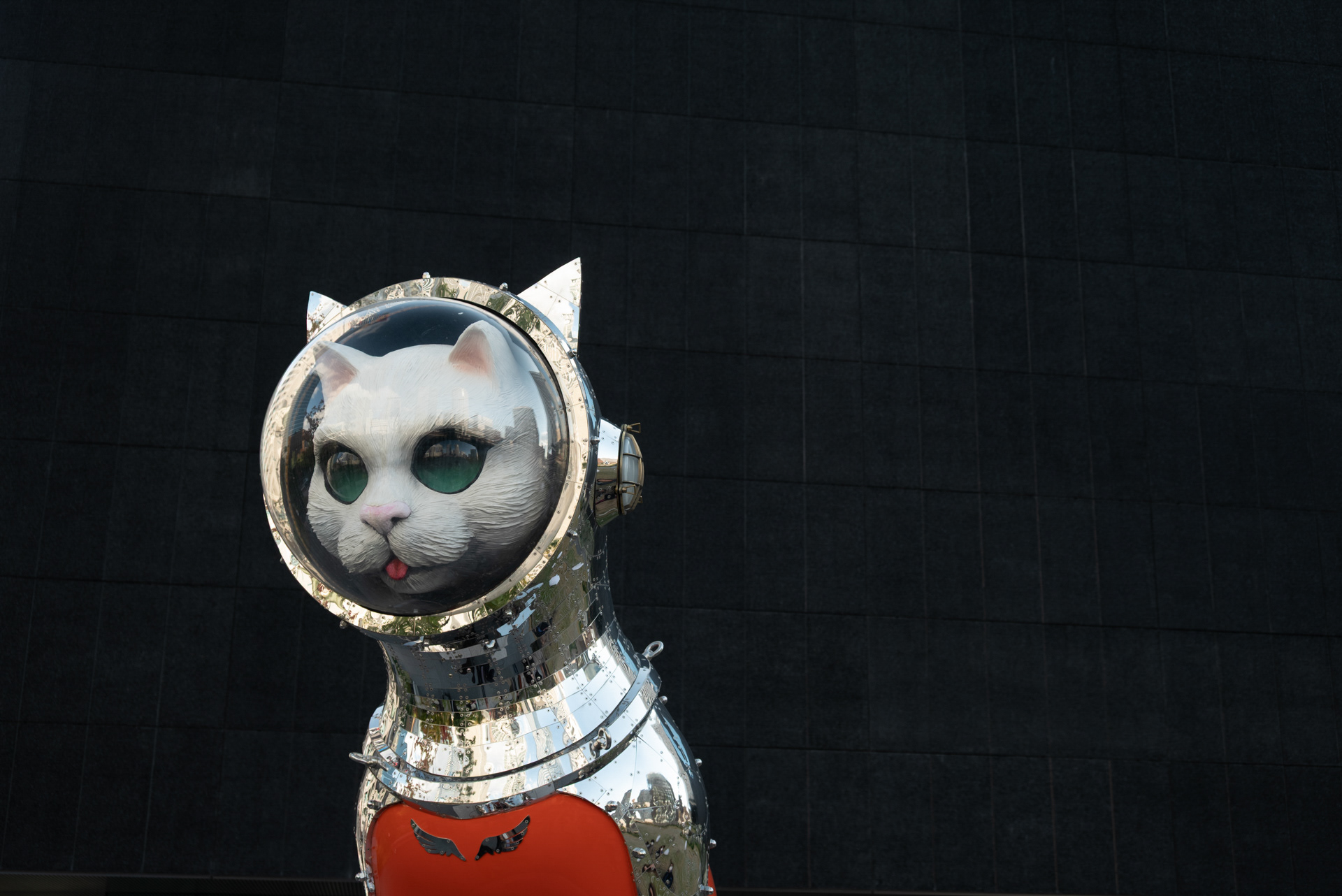 Ship's Cat 2, Osaka
