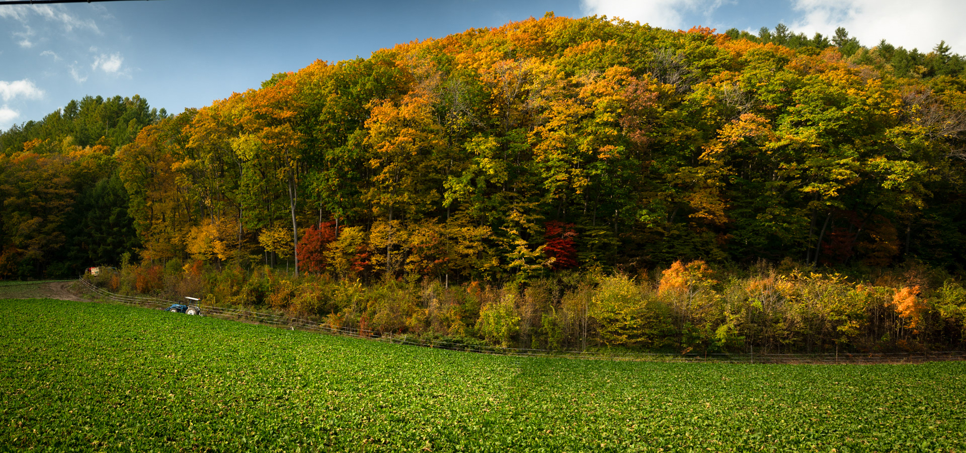 All colors three Hokkaido