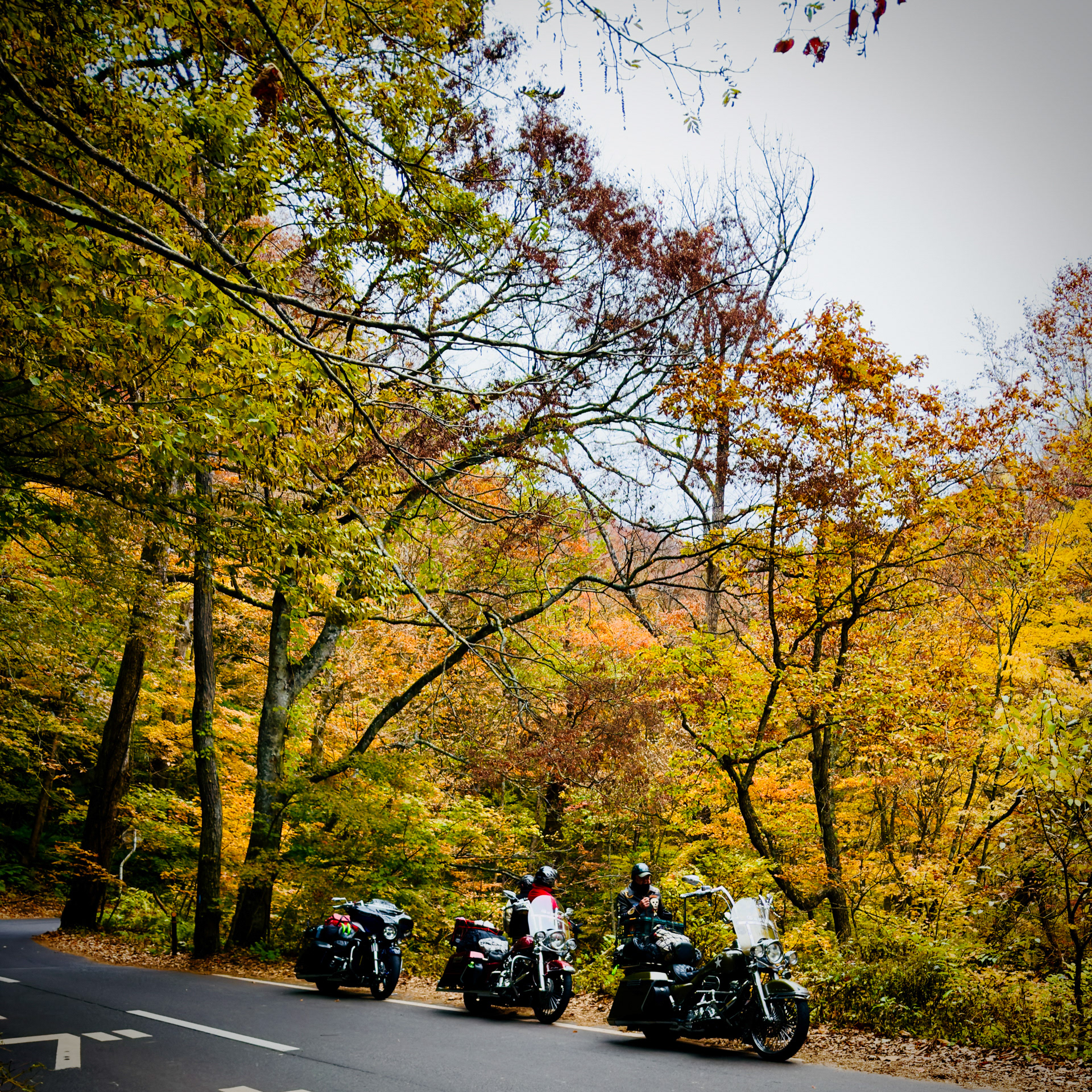 Waterfall Road 2