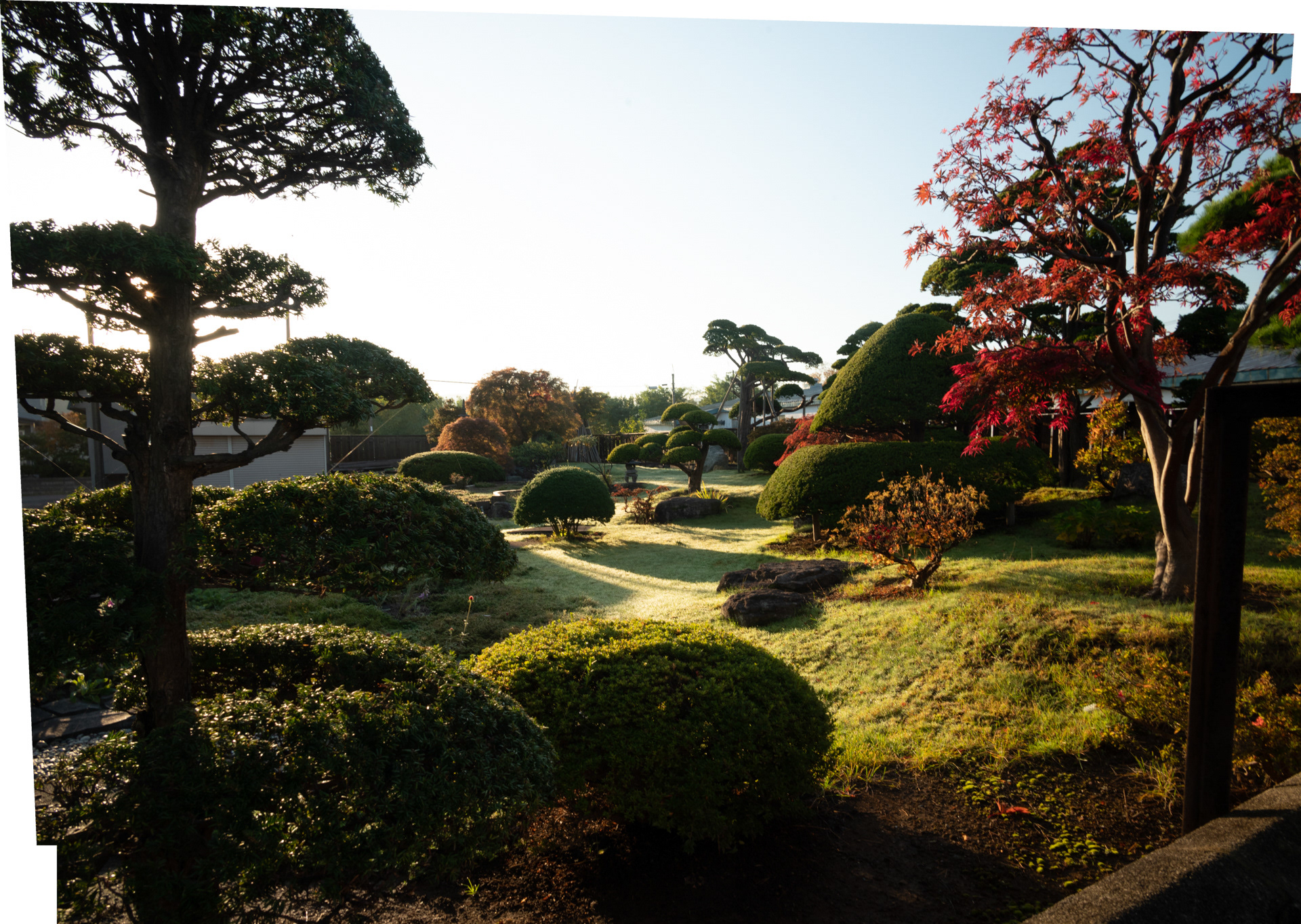 Somebody's front garden, Iwate
