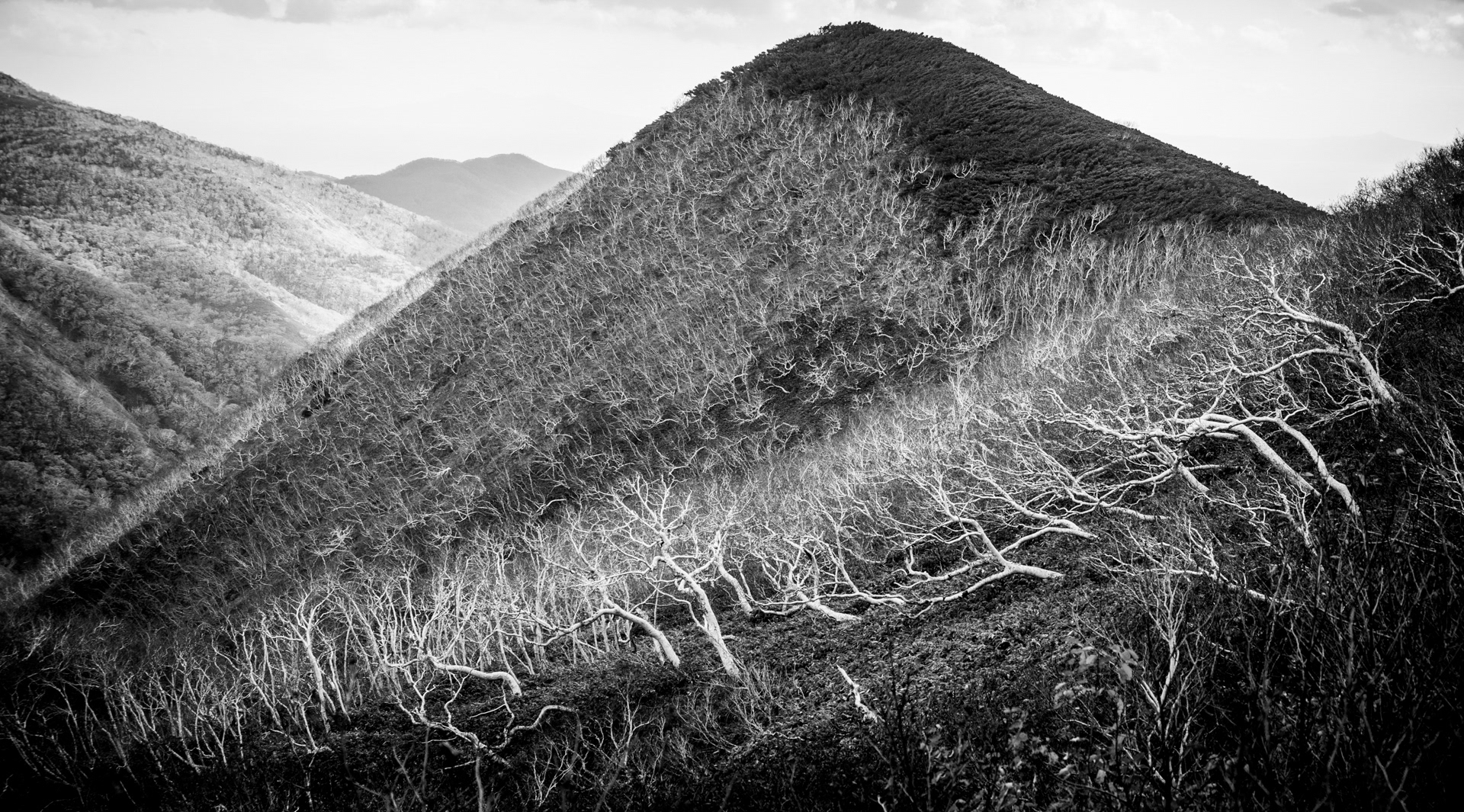 Shiretoko Peninsula 2, Hokkaido