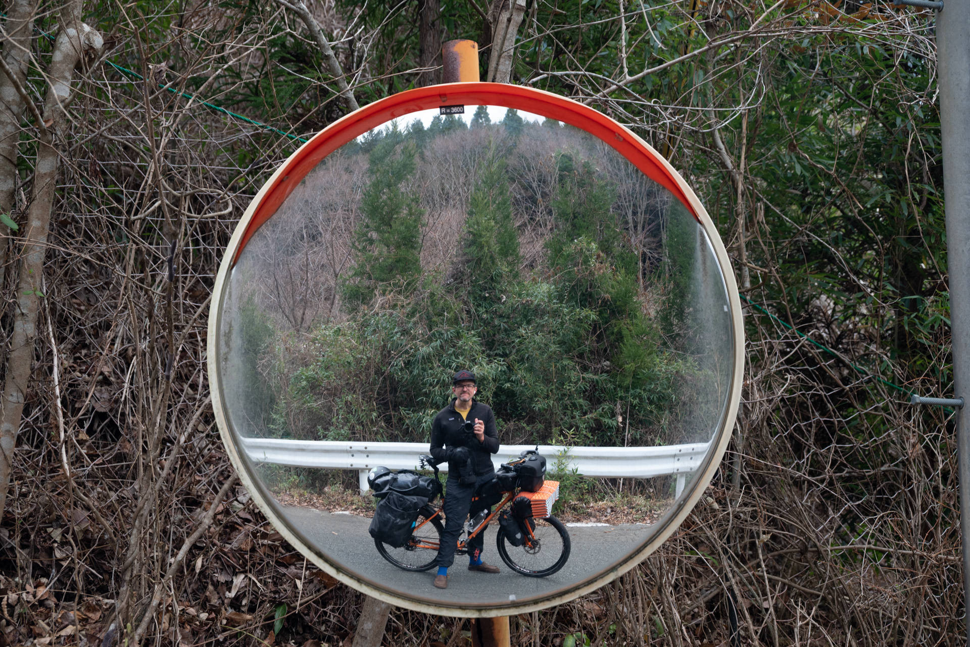 Self Portrait