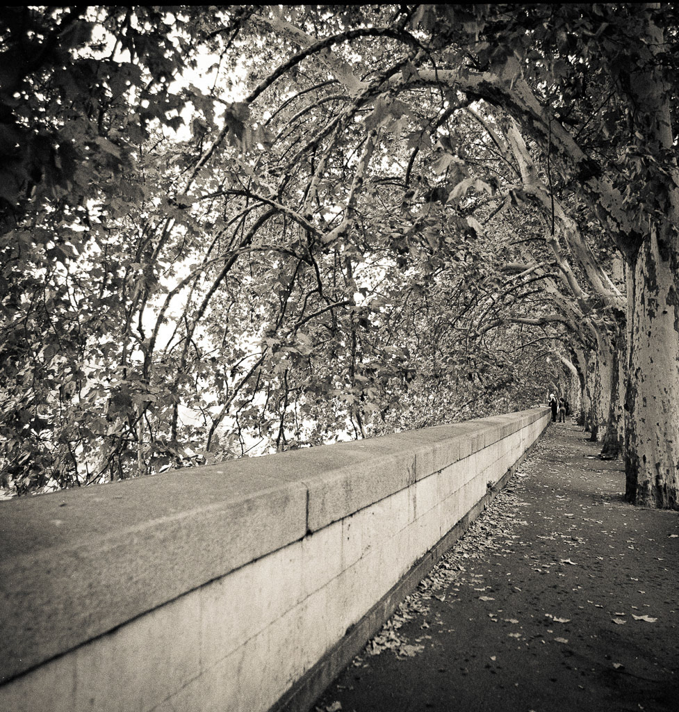 Tiber River II, Rome, Italy 2005
