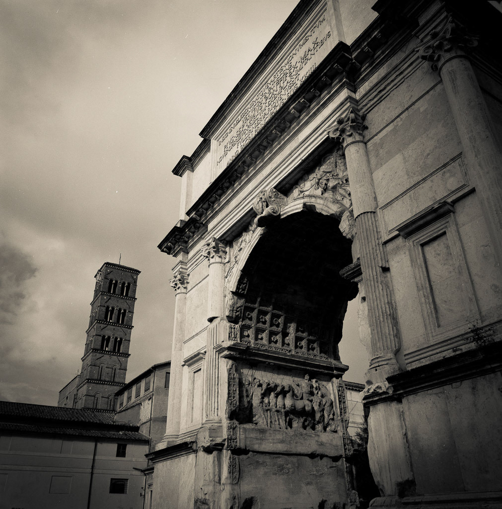 Roman Forum V, Italy, 2013