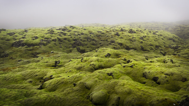 Mossy Lava Flow, near Keflavik