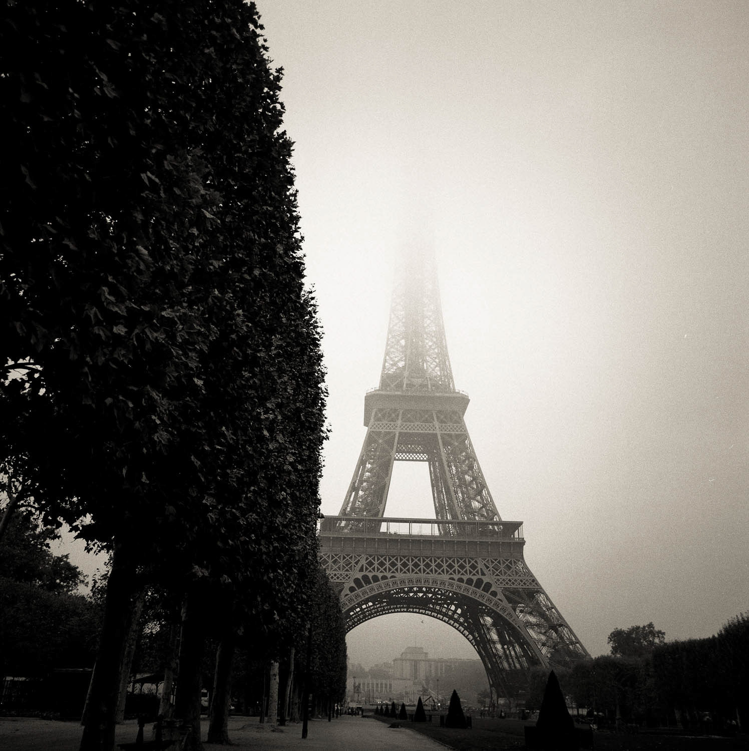 Eiffel Tower 9