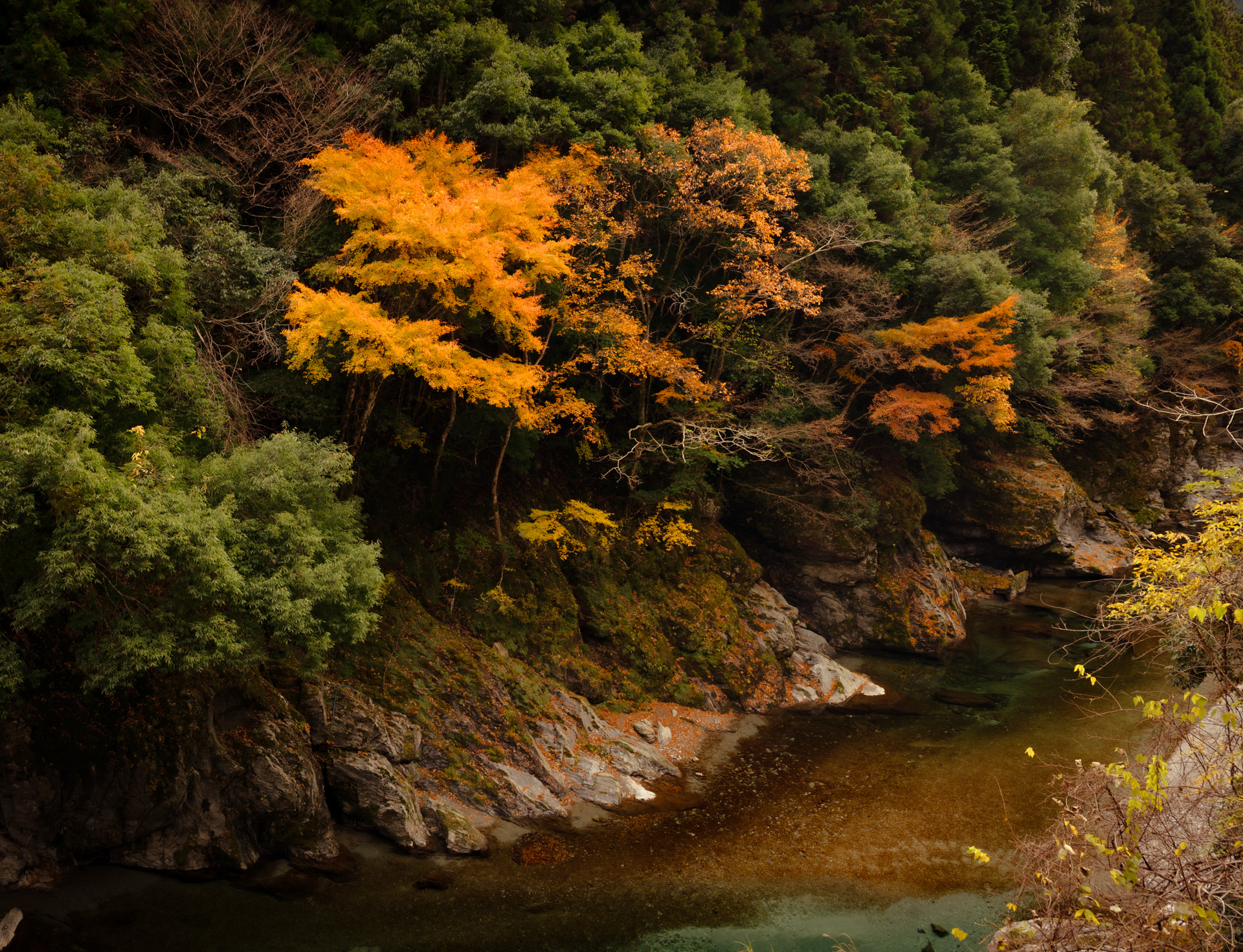 Shikoku Colors