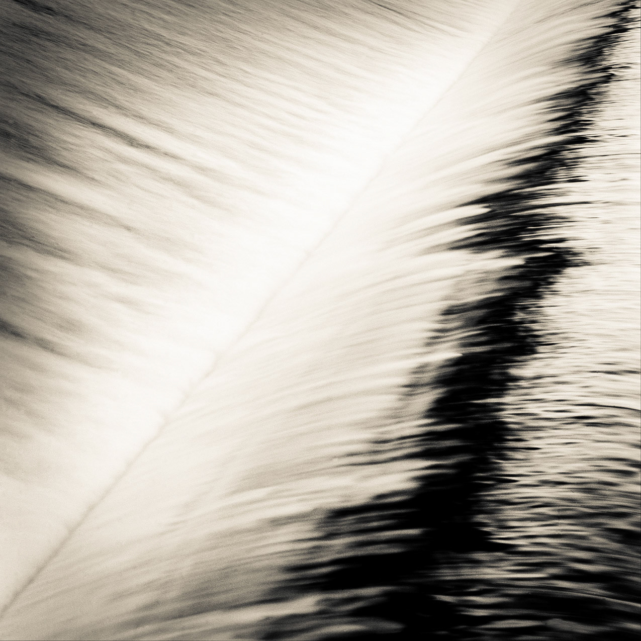 Water Barrier