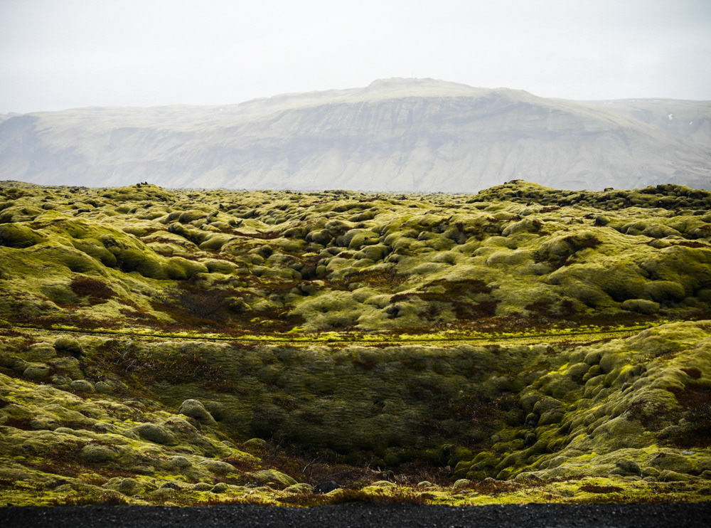 Mossy Lava Flow