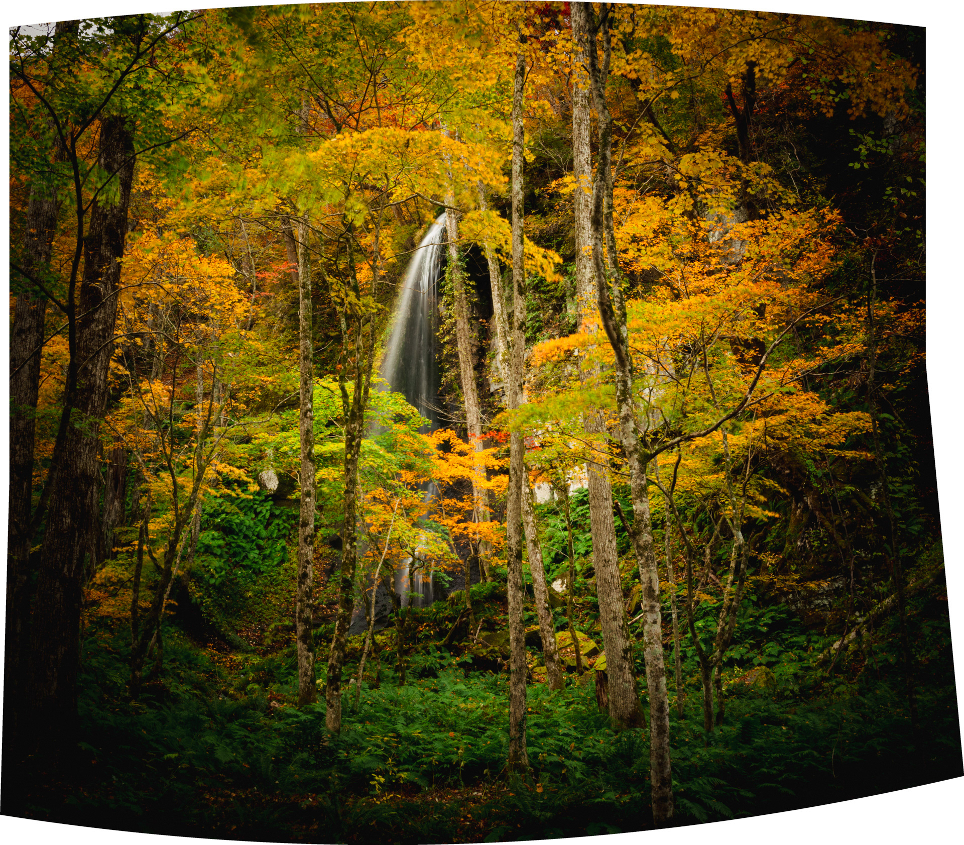 Waterfall Road 