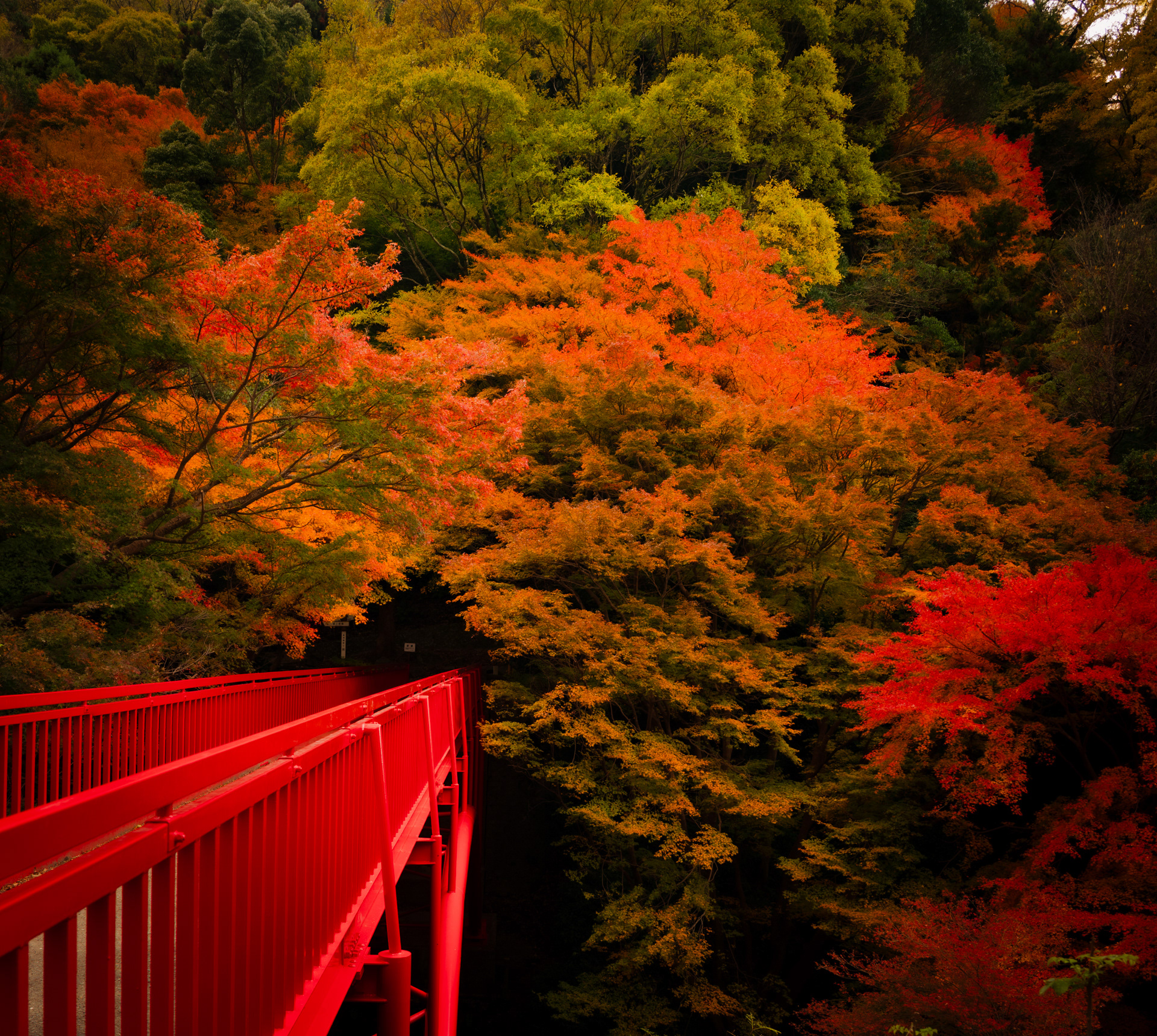 Red Bridge near Osaka