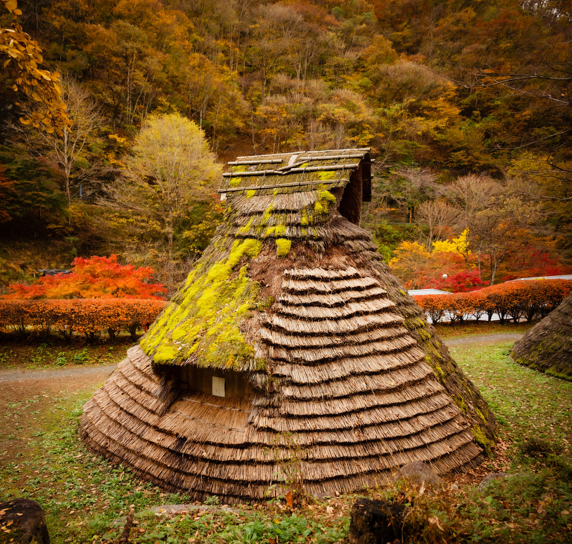  kayabuki Hut, Thatched House