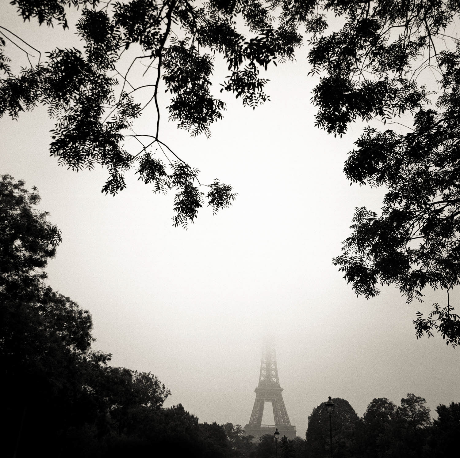 Eiffel Tower 1
