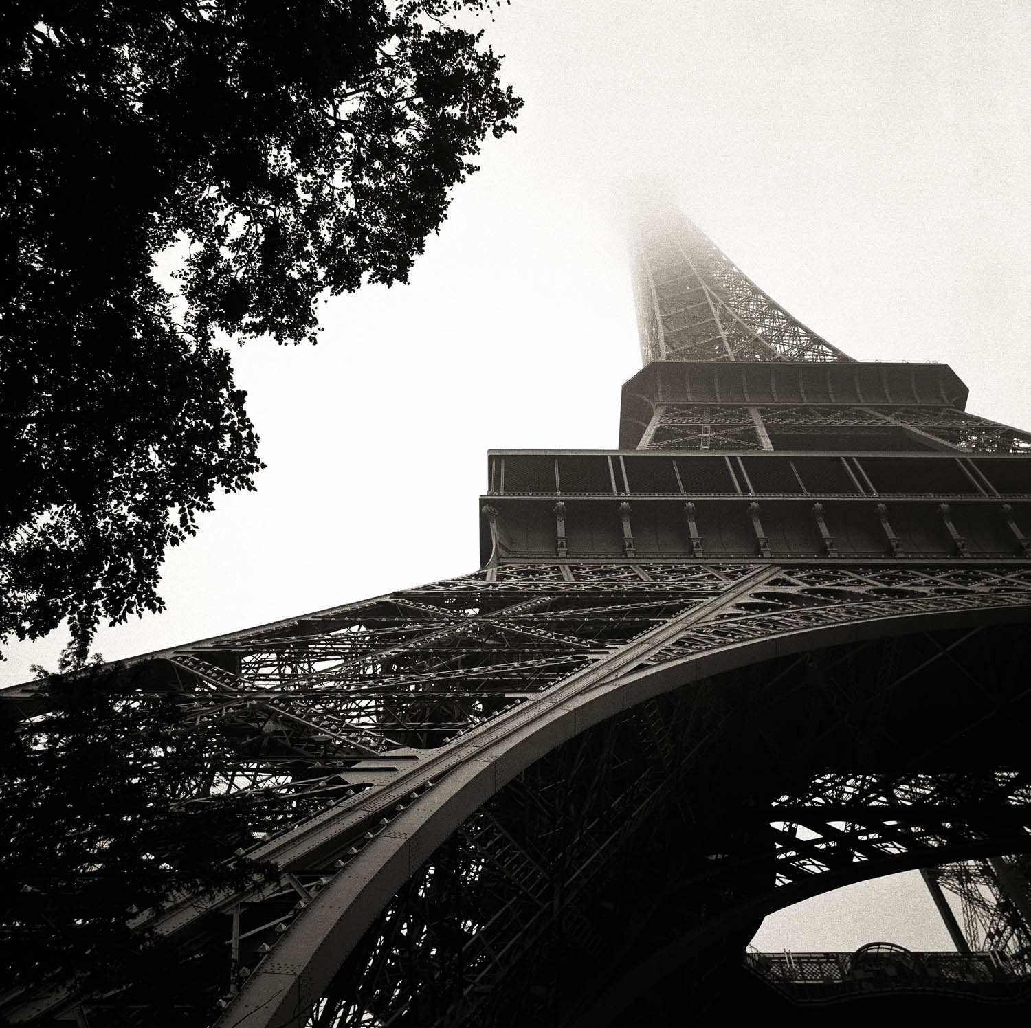 Eiffel Tower 6
