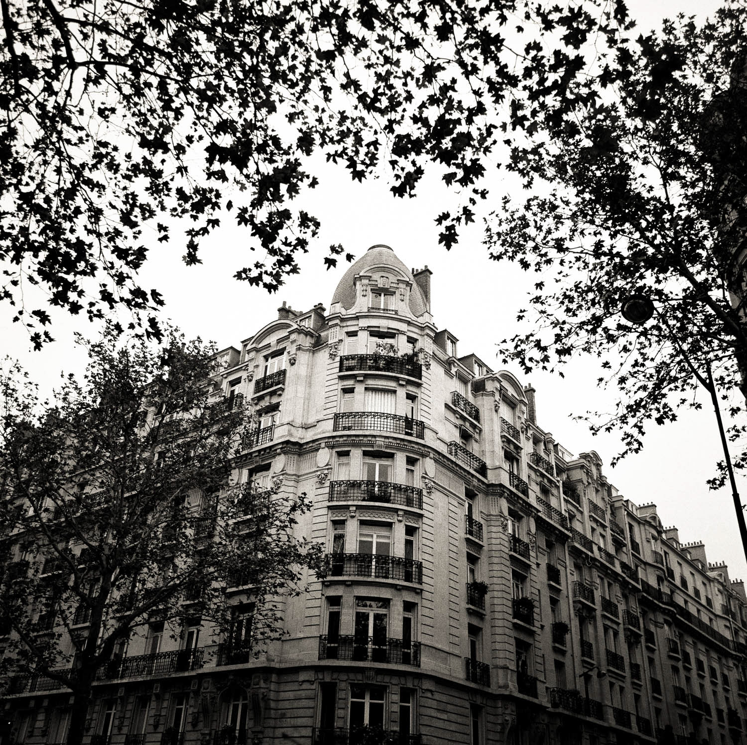 Paris Neighborhood