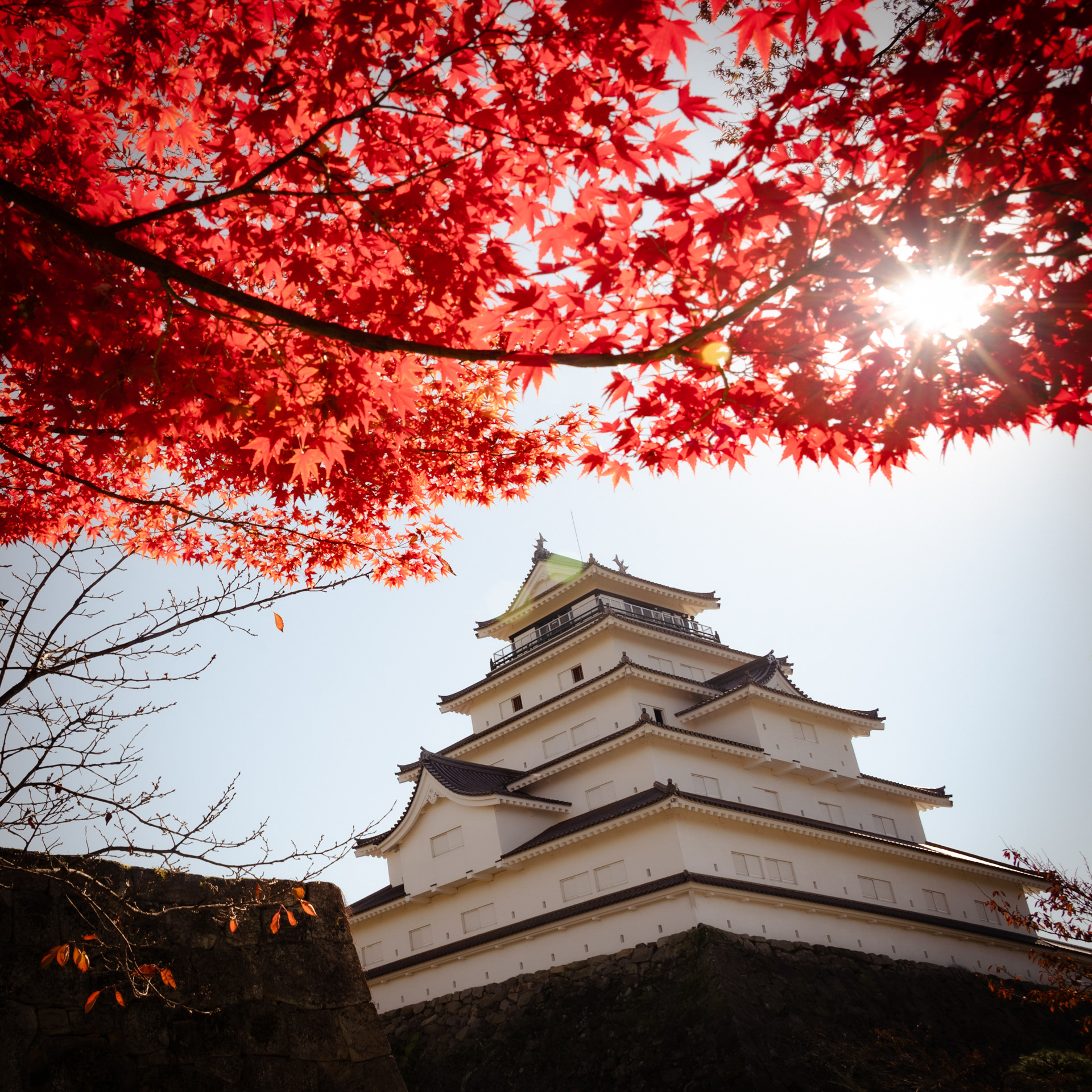 Tsuruga Castle