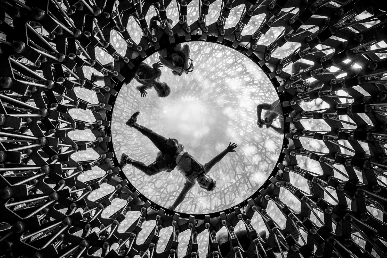 Children looking down through the transparent floor of The Hive at Kew Gardens. Image © Nik van Herpt