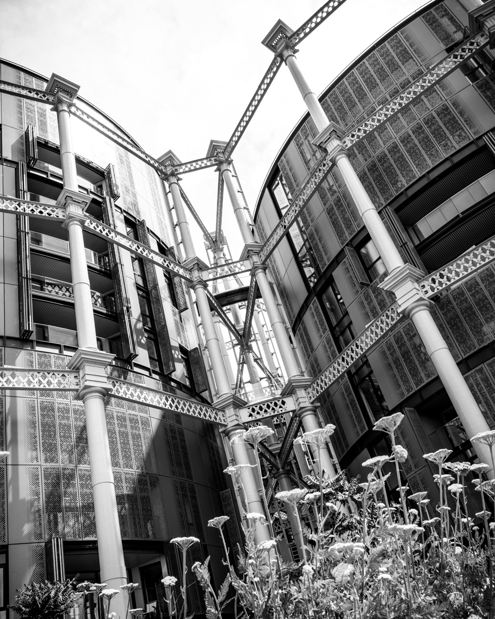 Flowers in the foreground of Gasholders London apartments. Image © Nik van Herpt