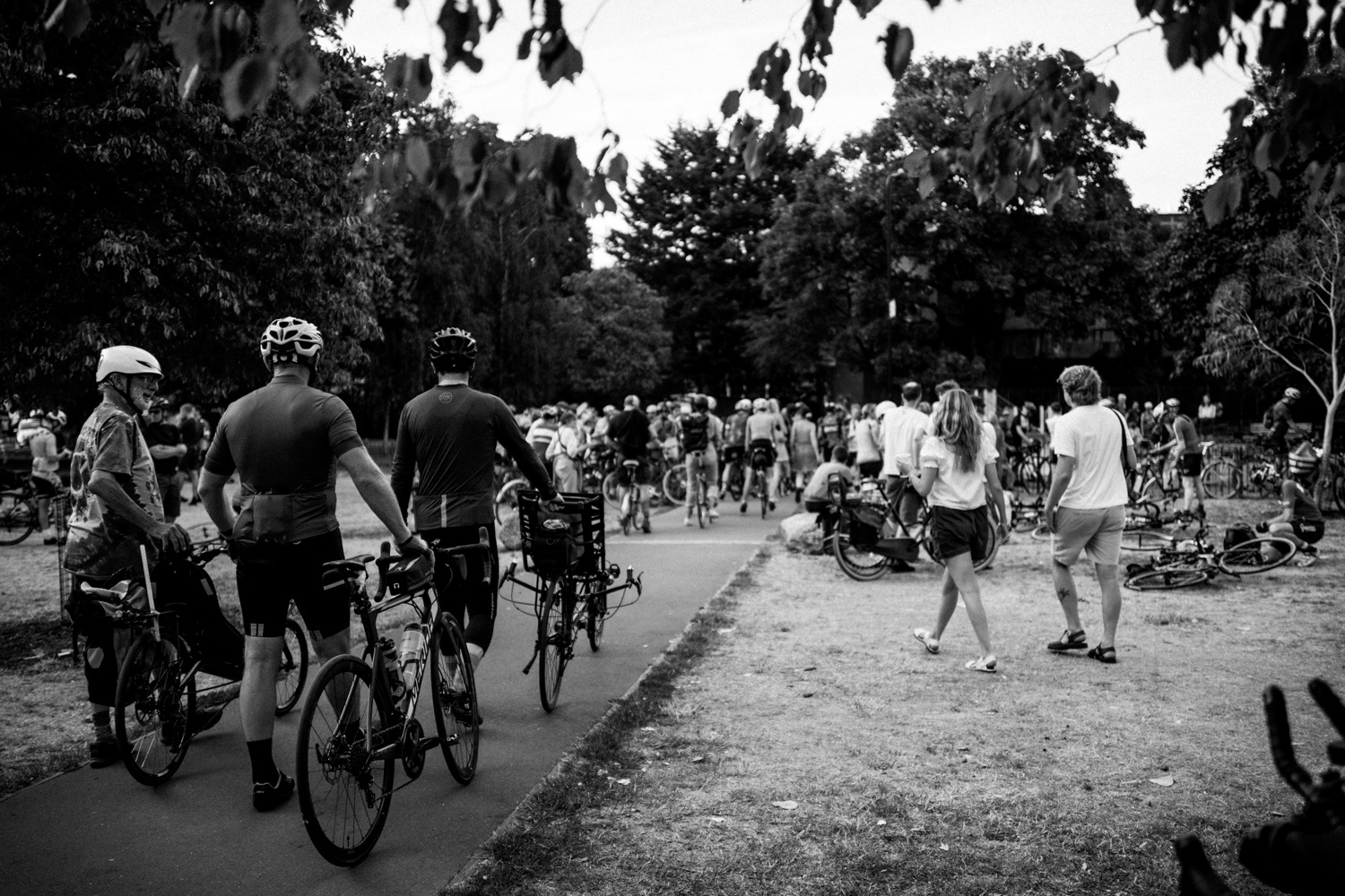 Cyclists making their way to the start. Image © Nik van Herpt